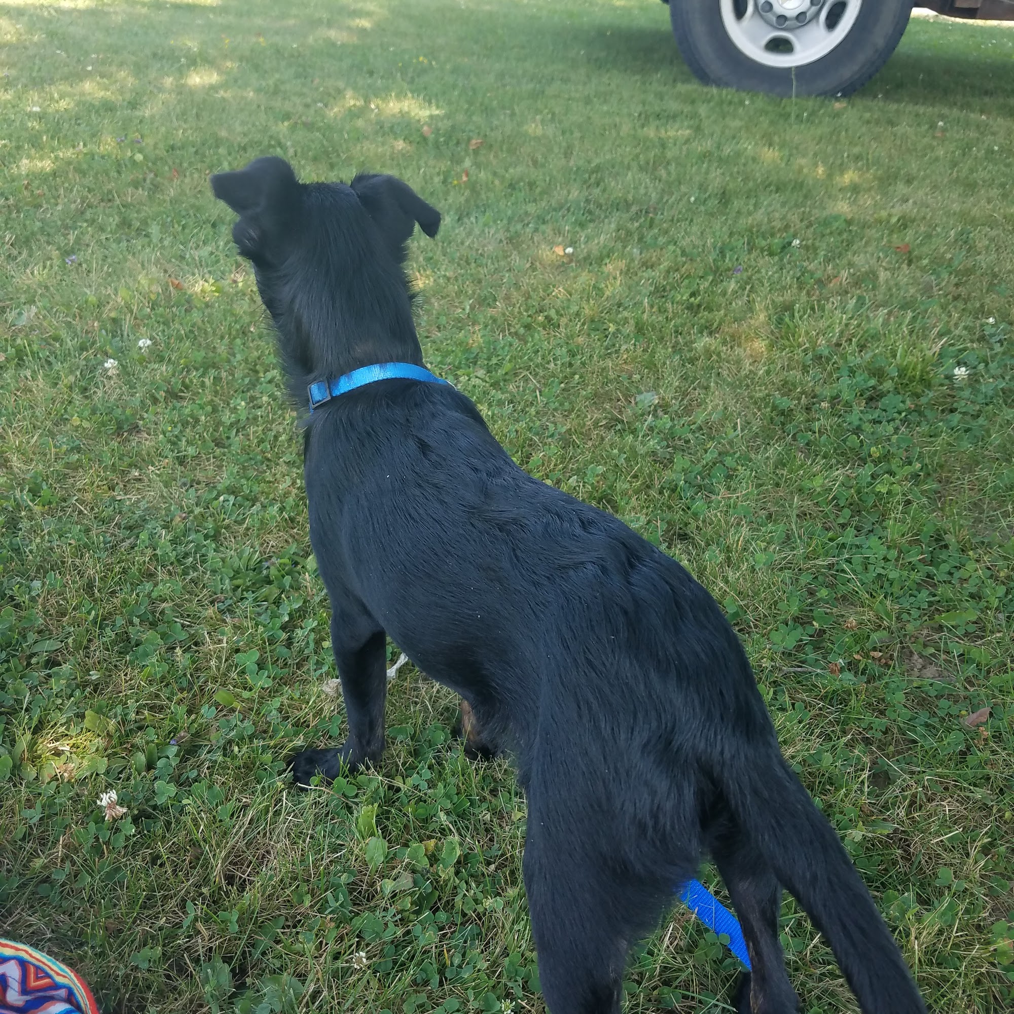 Ontario County Humane Society Canandaigua