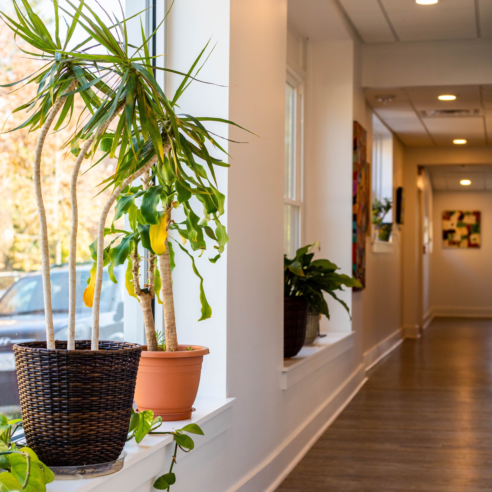 Rademacker Specific Chiro