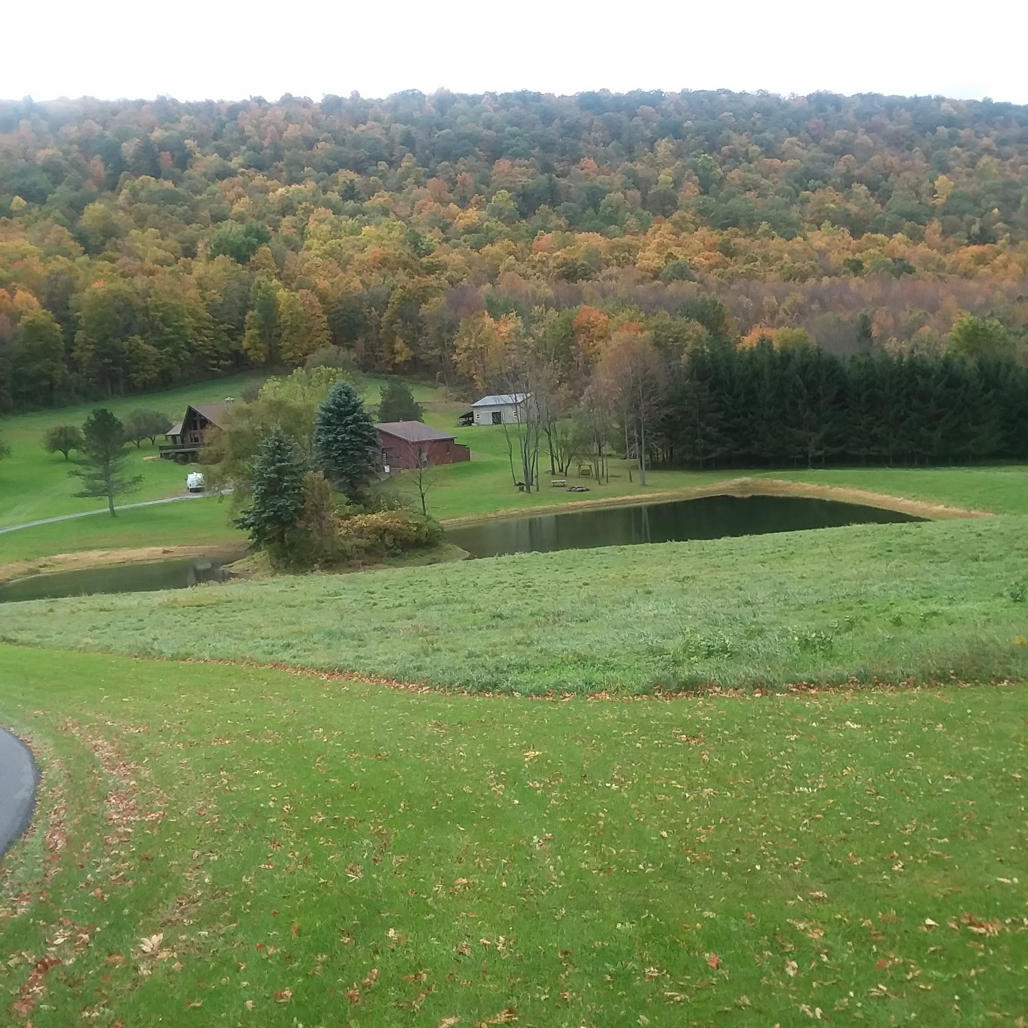 Skill Glass Co. Canandaigua