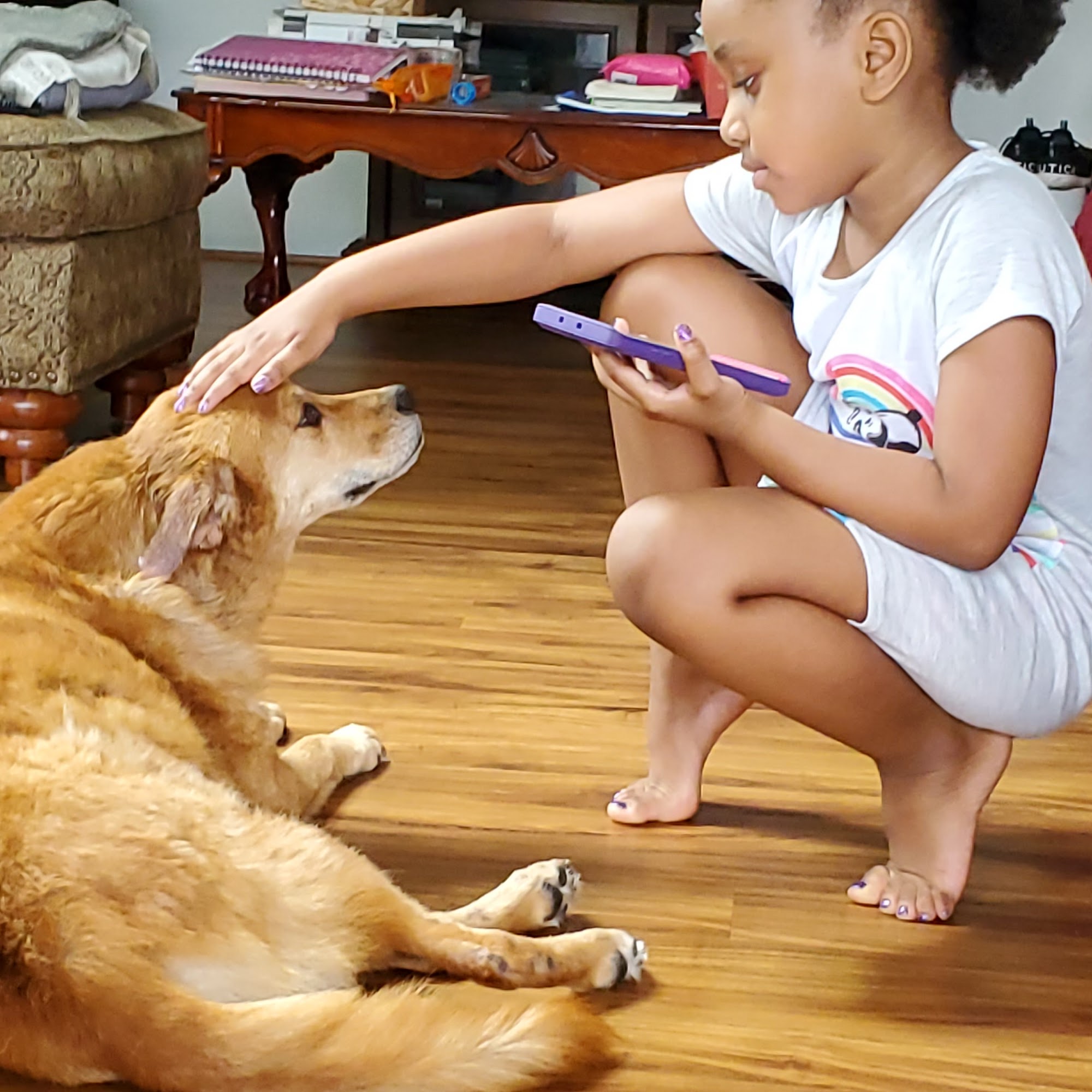 Upstate Veterinary Surgical Center Canastota