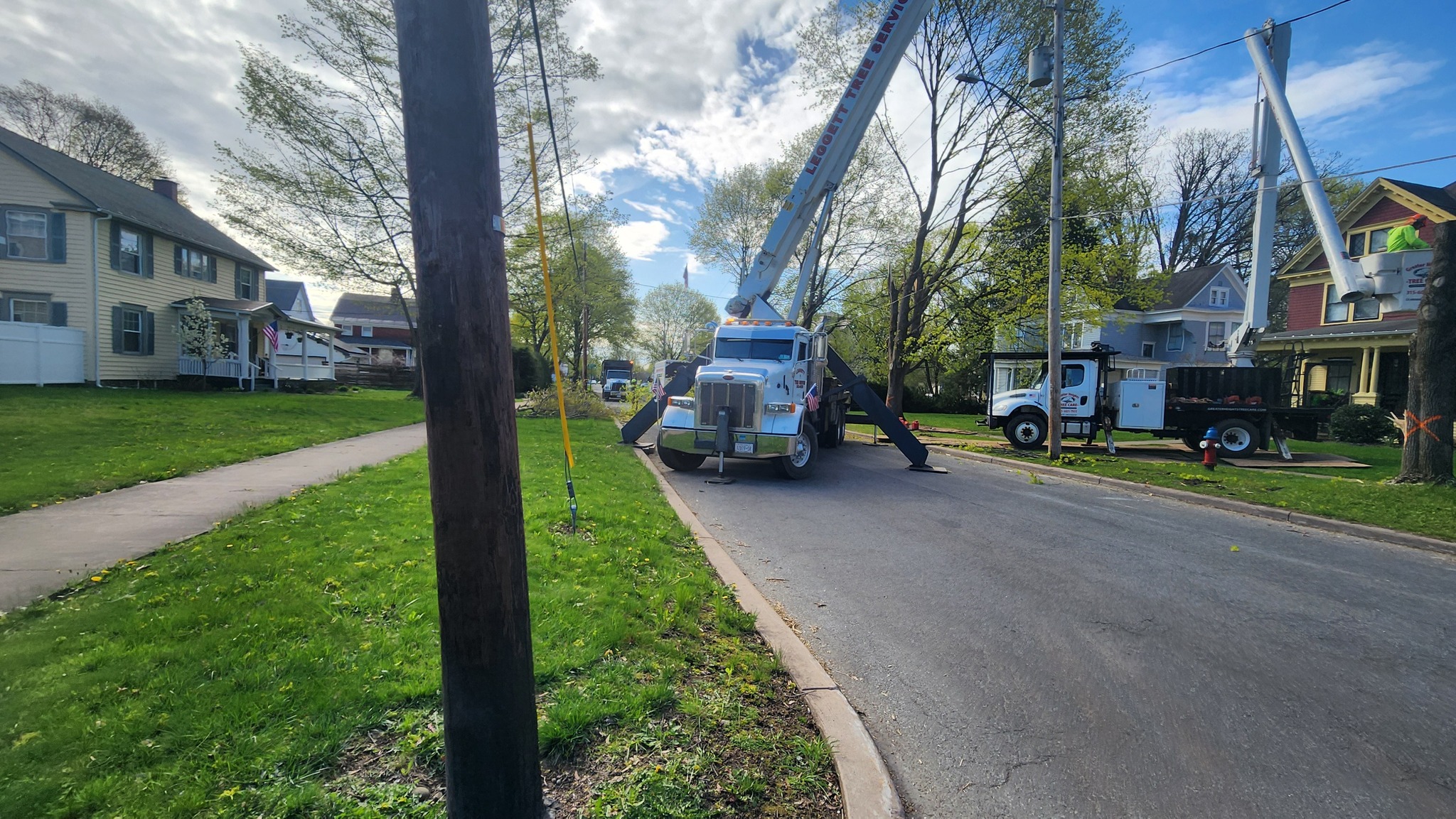 Leggett Tree Service