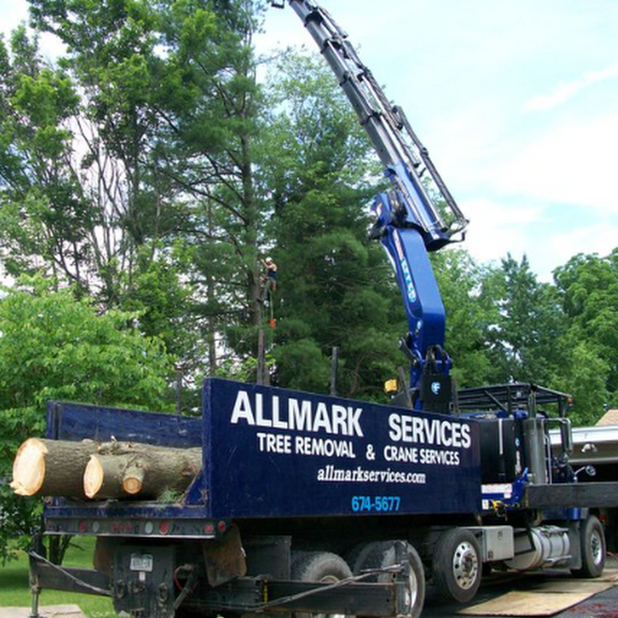 Allmark Tree & Crane Service 1891 Spruce Ln, Castleton-On-Hudson New York 12033