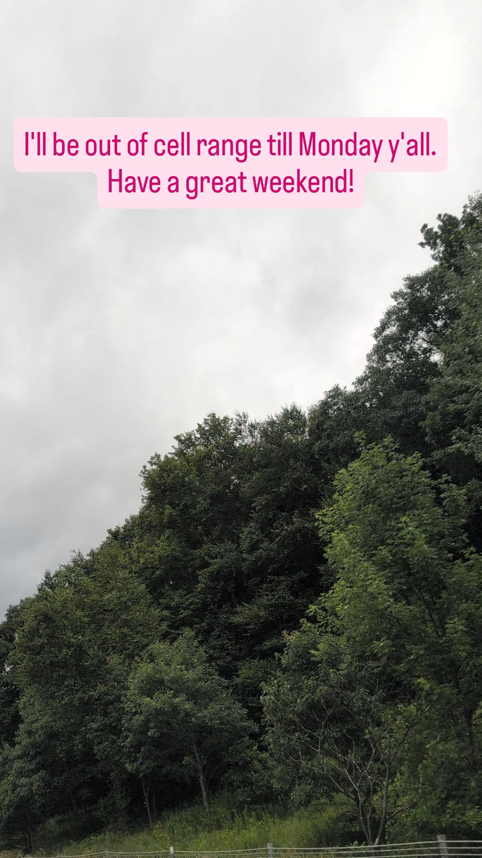 Woof Woof Mobile Dog Grooming Centereach