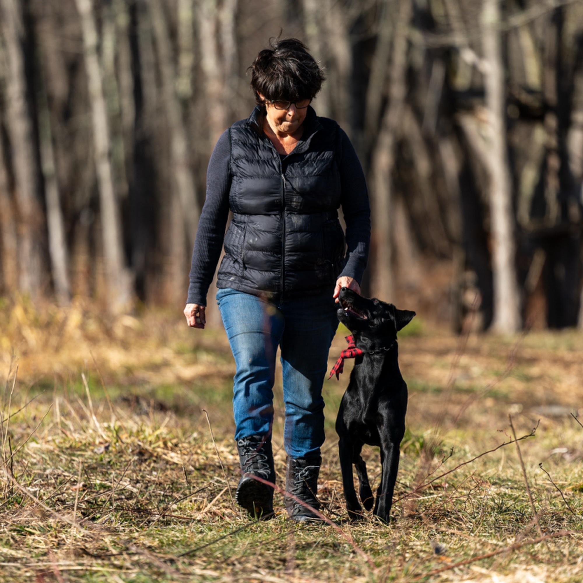 ROBIN'S NEST PET CARE & K9 TRAINING Central Valley