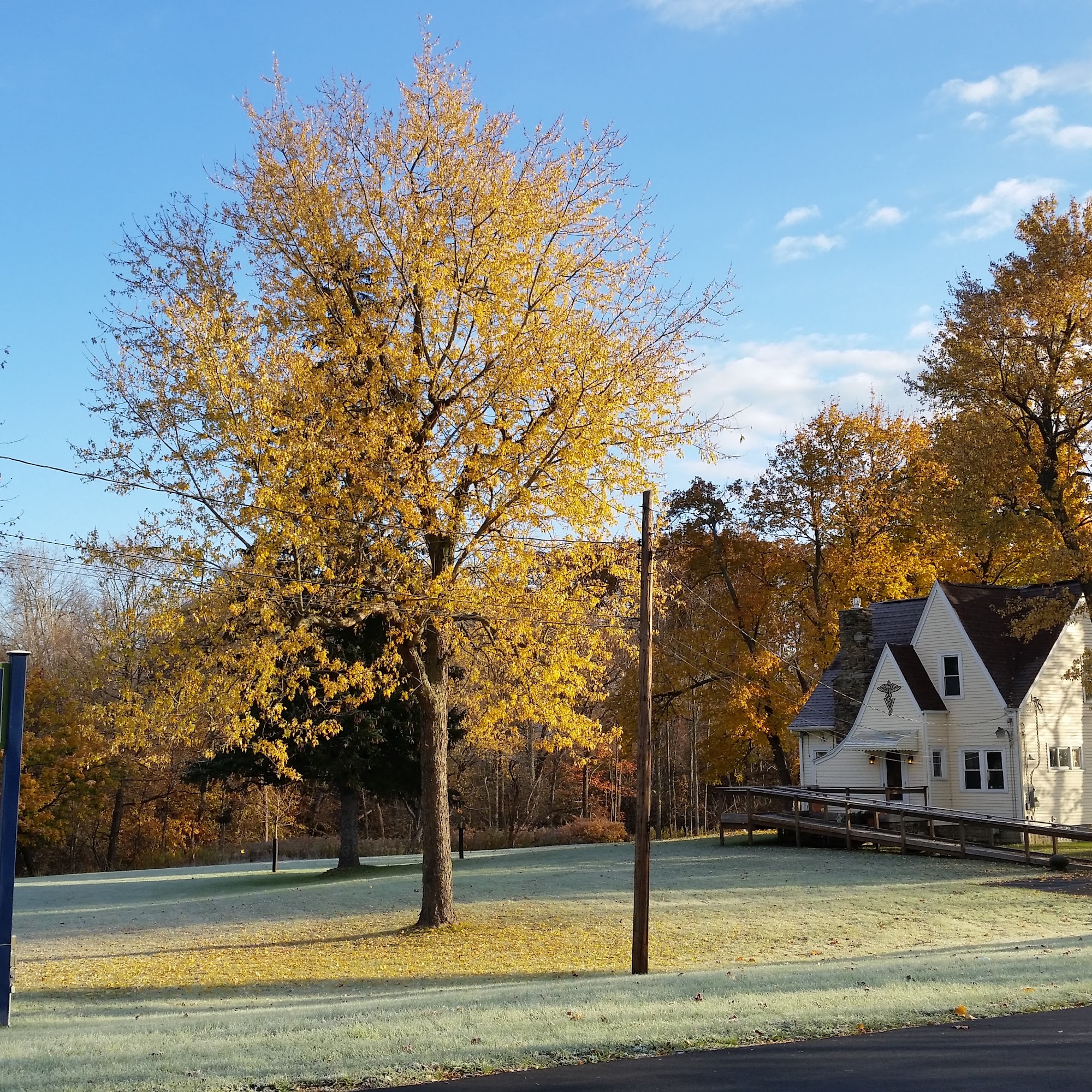 GrandView Animal Care Center Cheektowaga