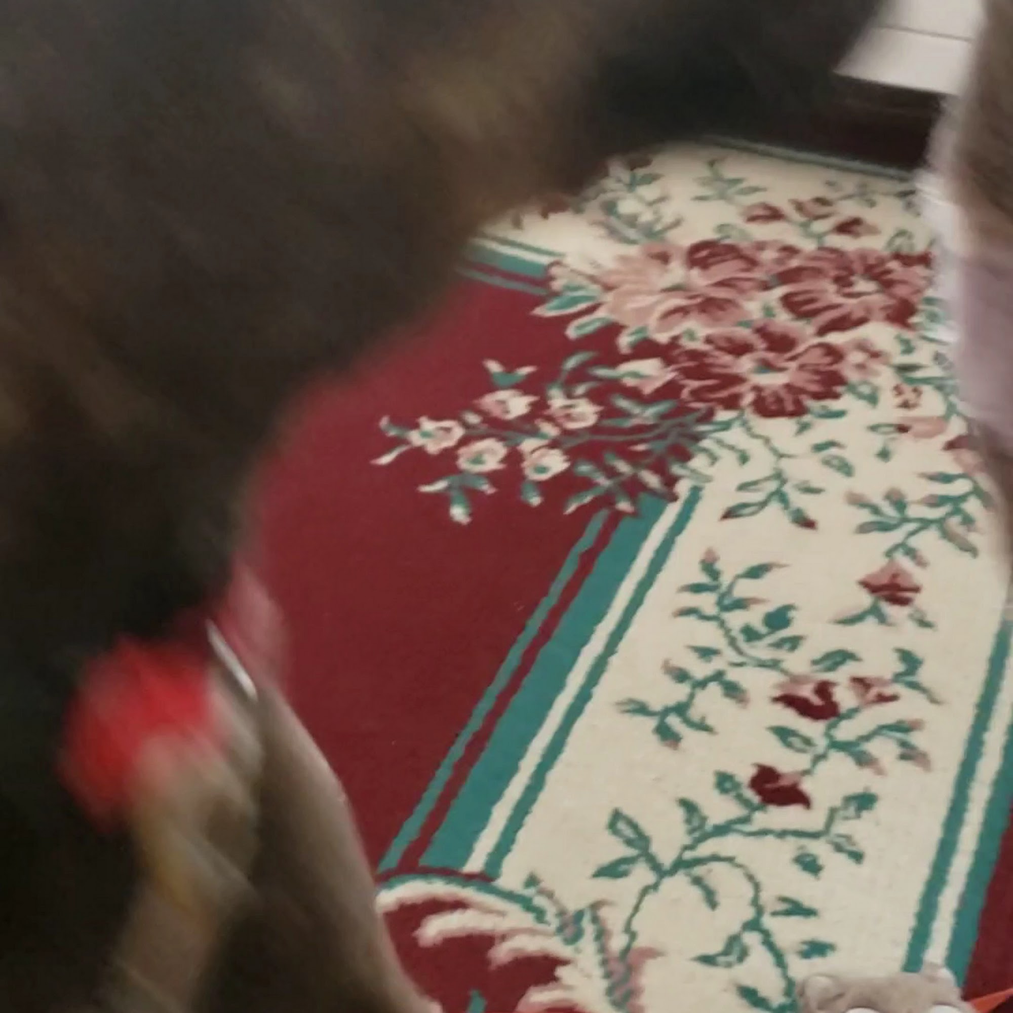 VIP Petcare Wellness Center Cheektowaga