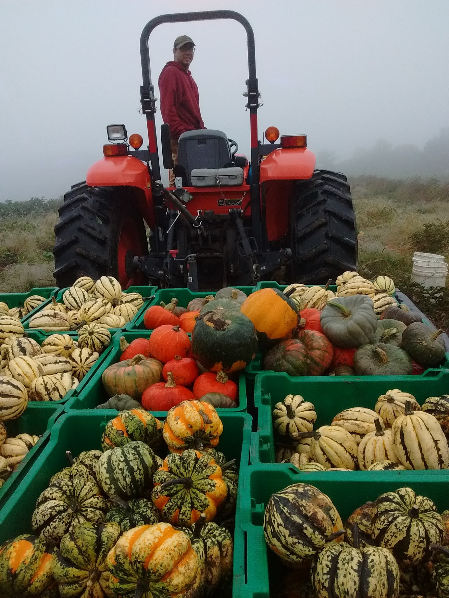 Hartwood Farm Chittenango