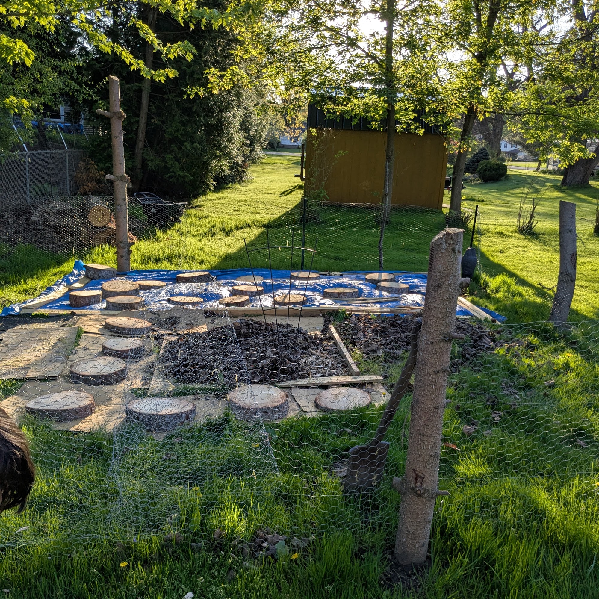 Kustom Tree Care Inc.