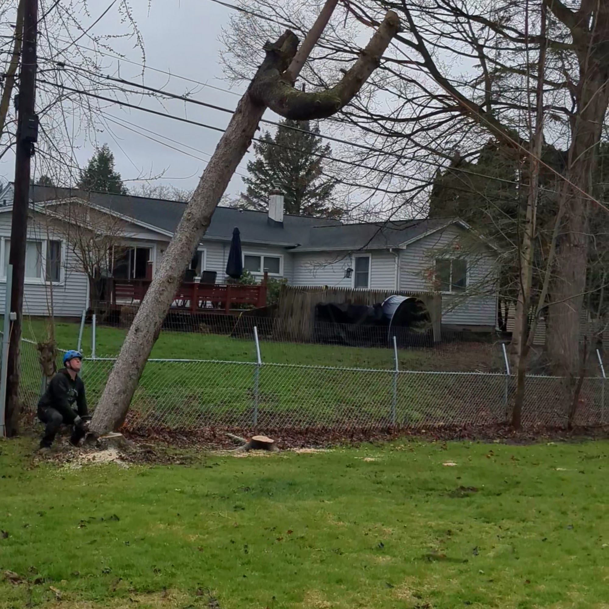 Kustom Tree Care Inc.