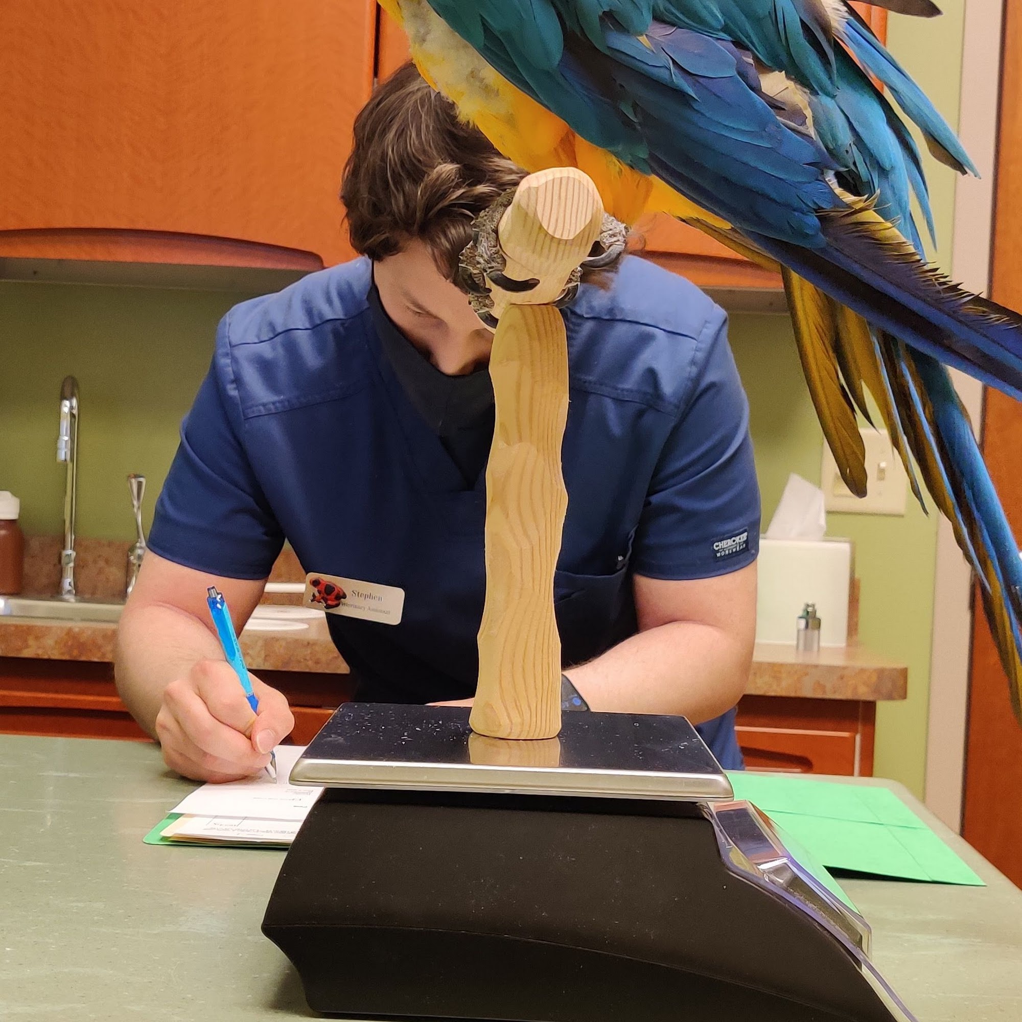 Specialized Care For Avian & Exotic Pets Clarence