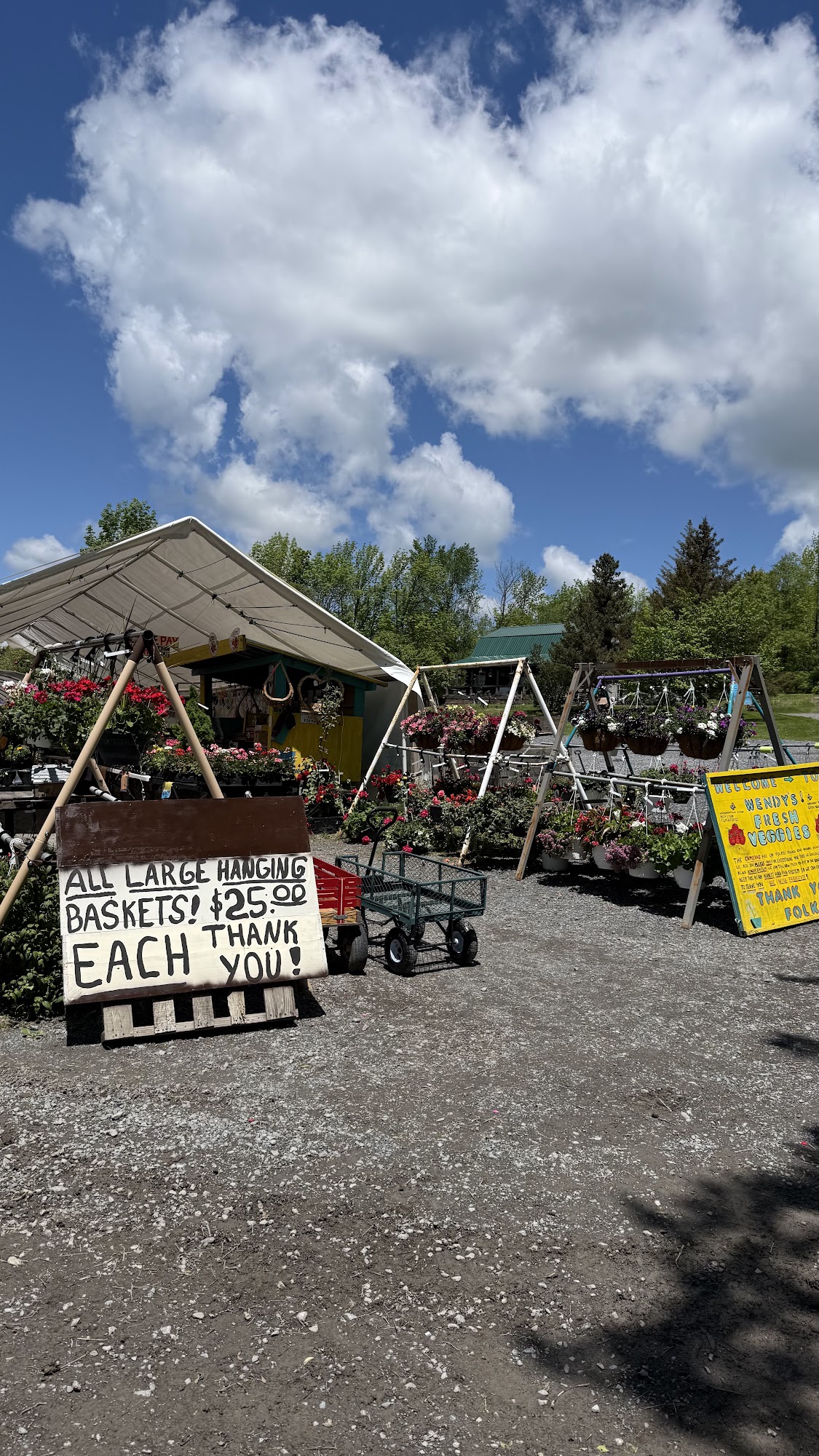 Wendy’s fresh veggies Cobleskill