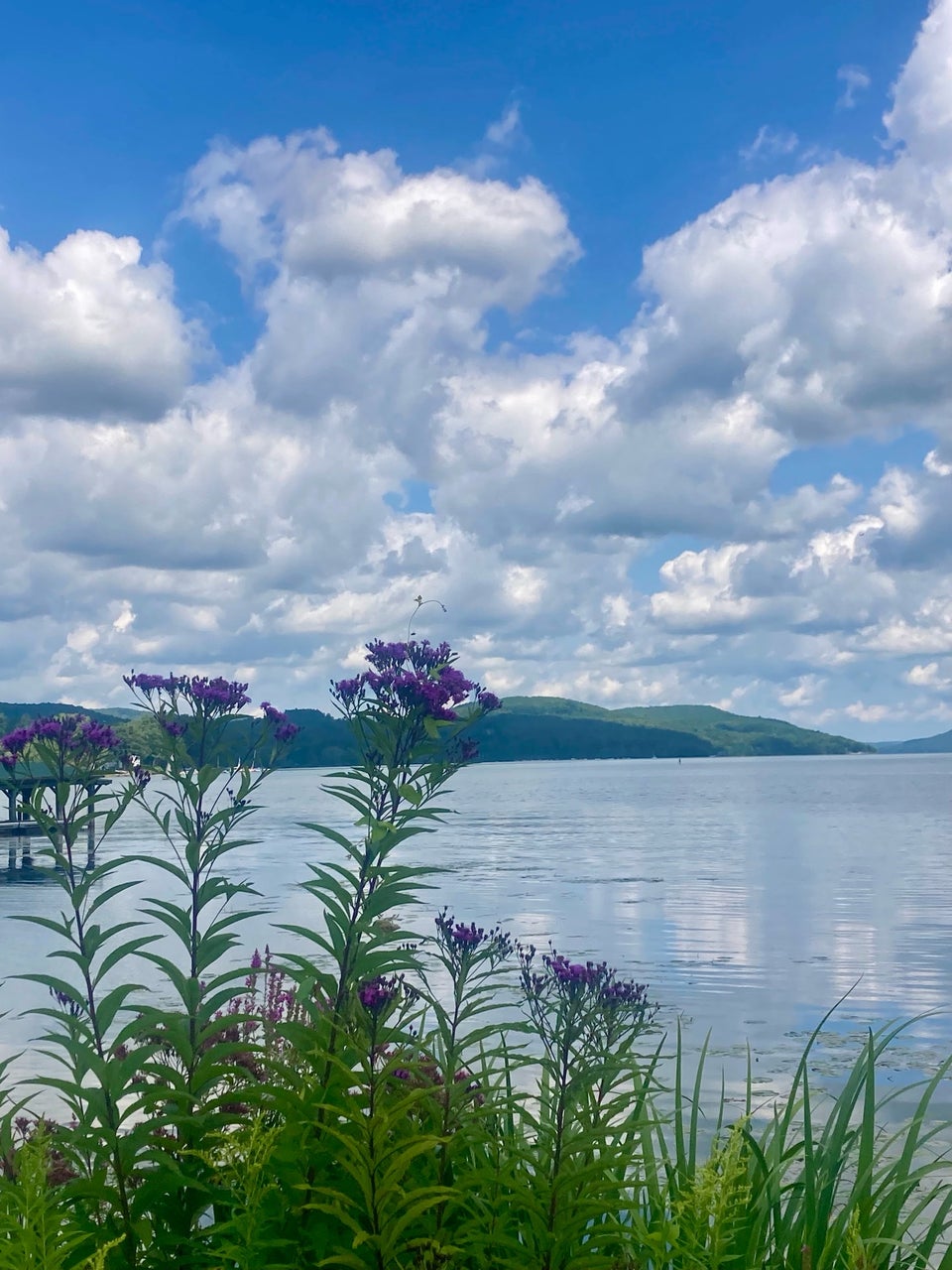 Blue Mingo Grill Cooperstown