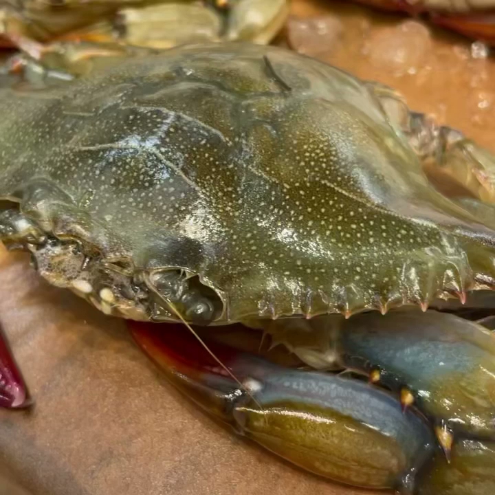 The Fish Place (Fresh Fish Market) Menu