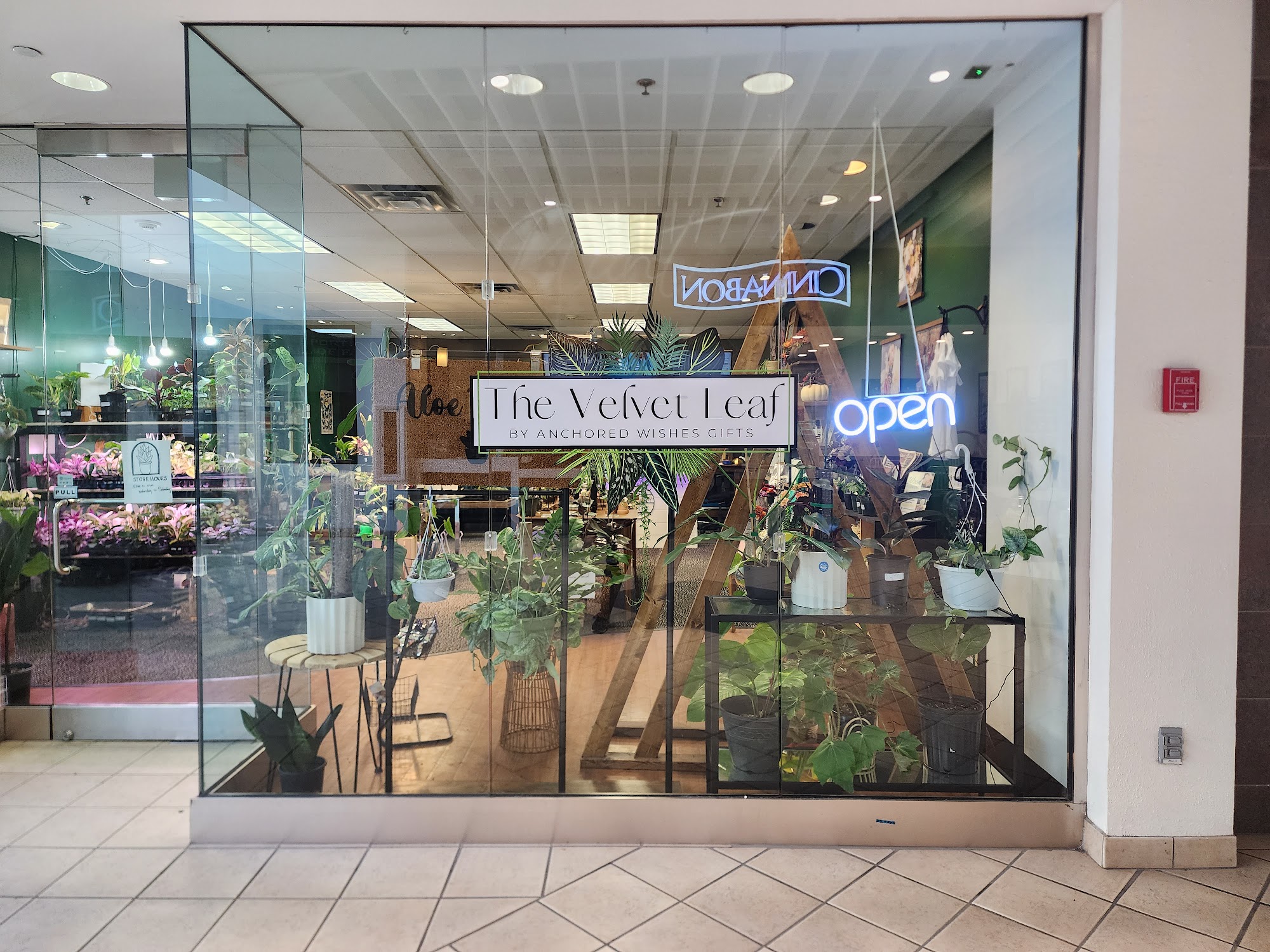 The Velvet Leaf by Anchored Wishes Gifts Corning