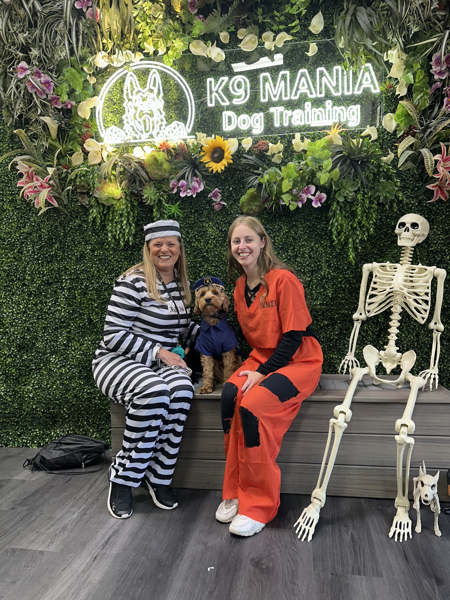 K9 Mania Dog Training Deer Park