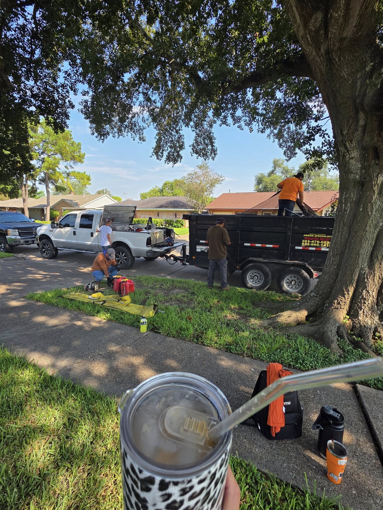 Deer Park Tree Service Deer Park