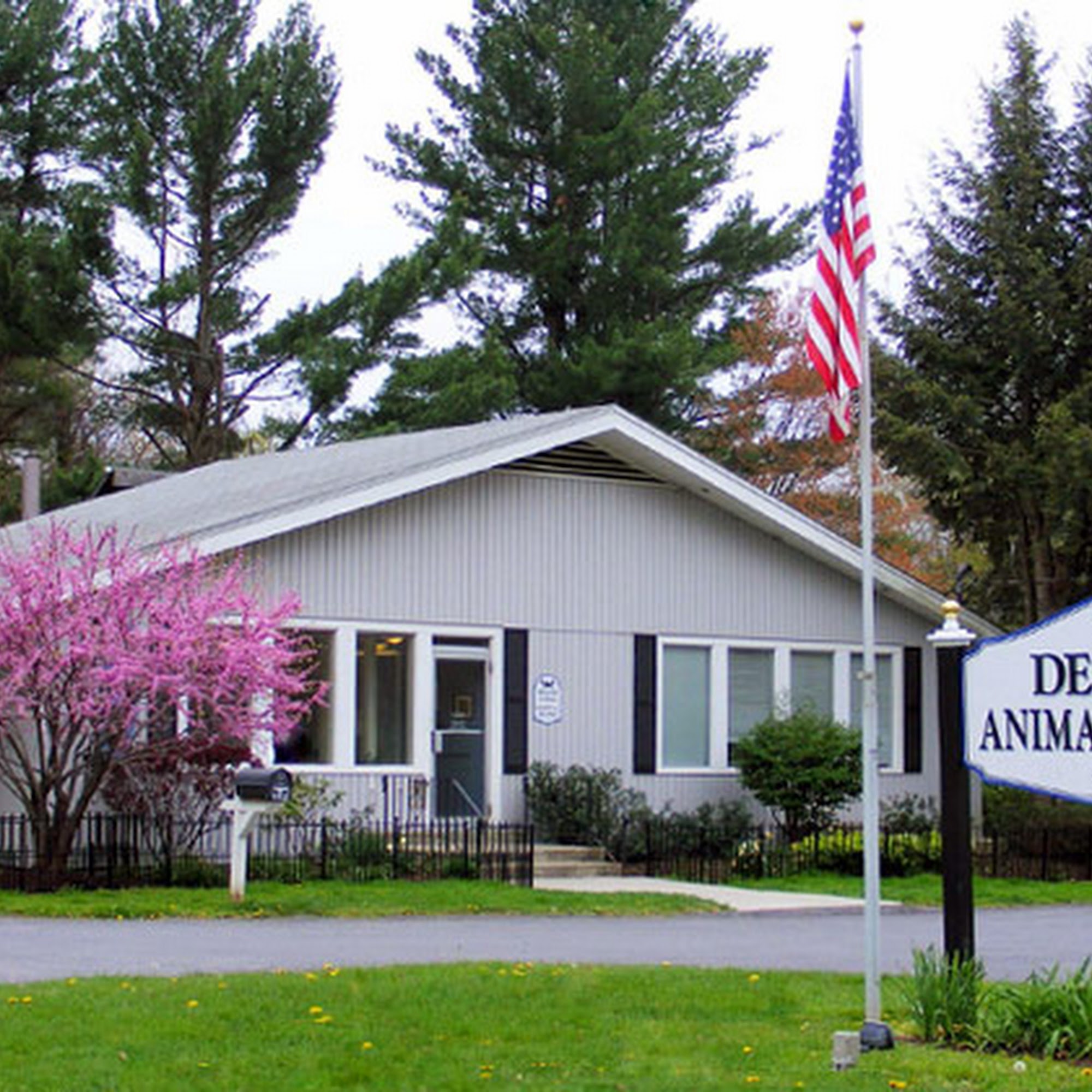 Delmar Animal Hospital Delmar