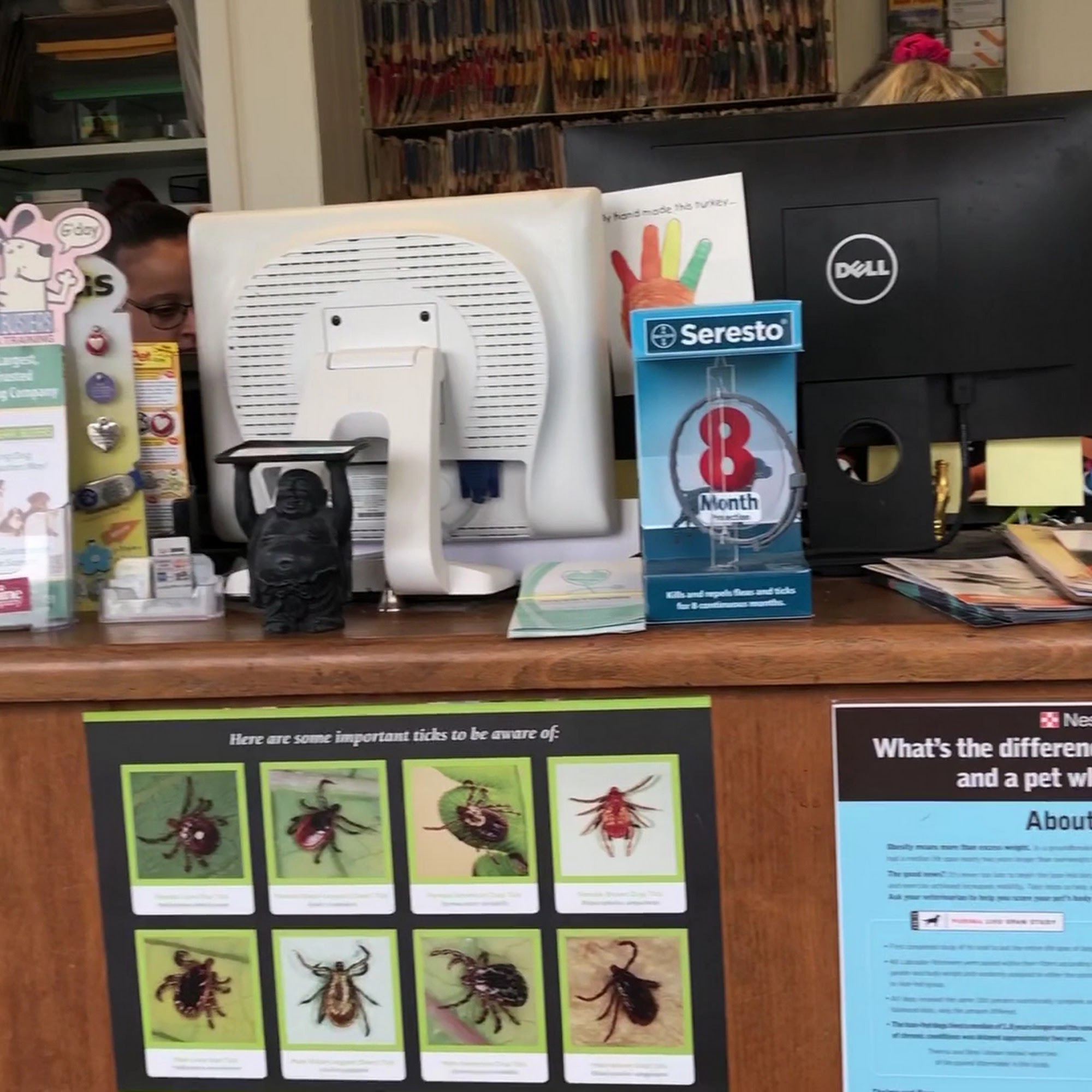 Dobbs Ferry Animal Hospital Dobbs Ferry