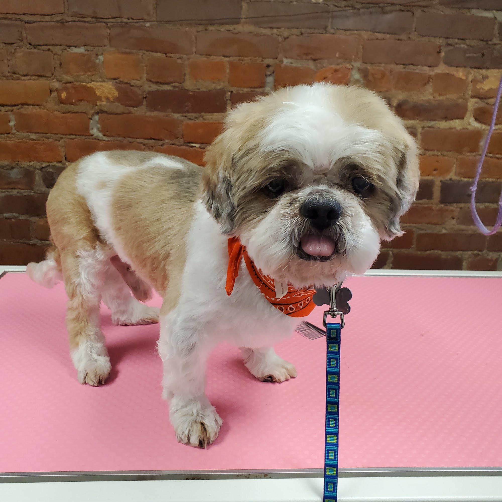 Luke's Bubble Bath Dundee