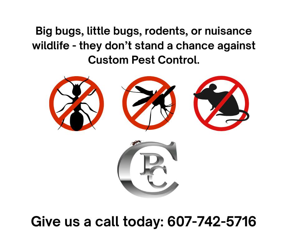 Custom Pest Control - Yates County NY