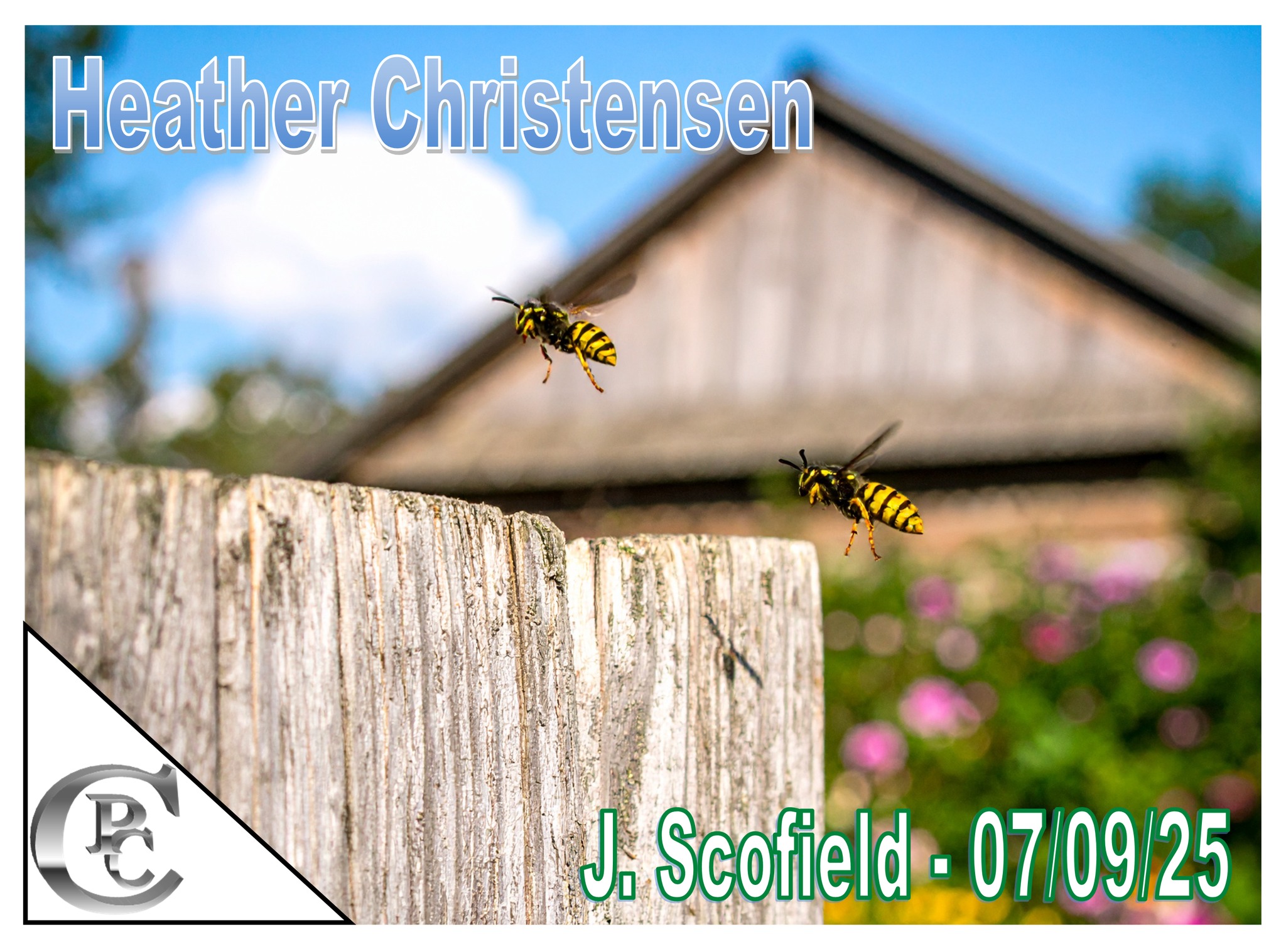 Custom Pest Control - Yates County NY