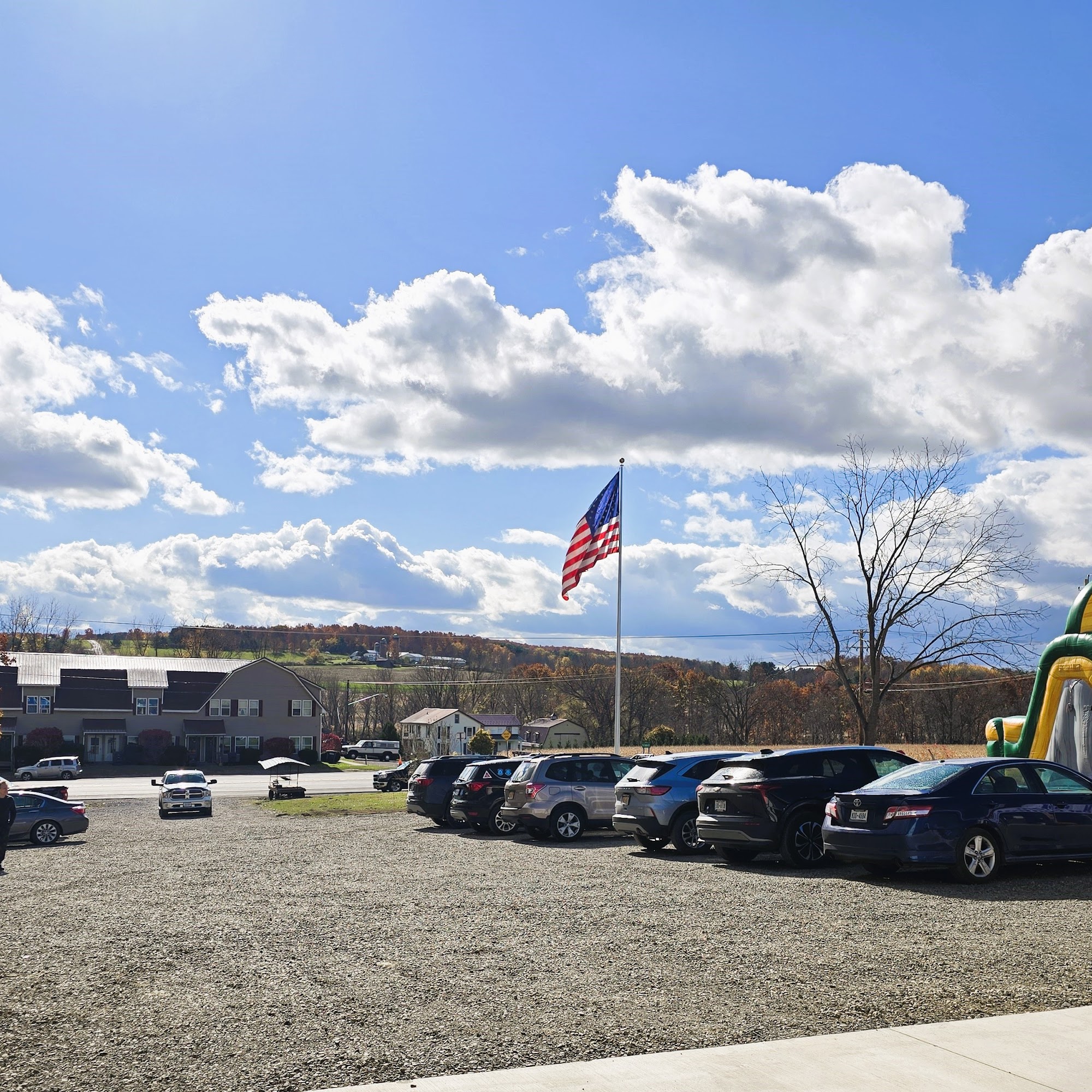 Custom Pest Control - Yates County NY