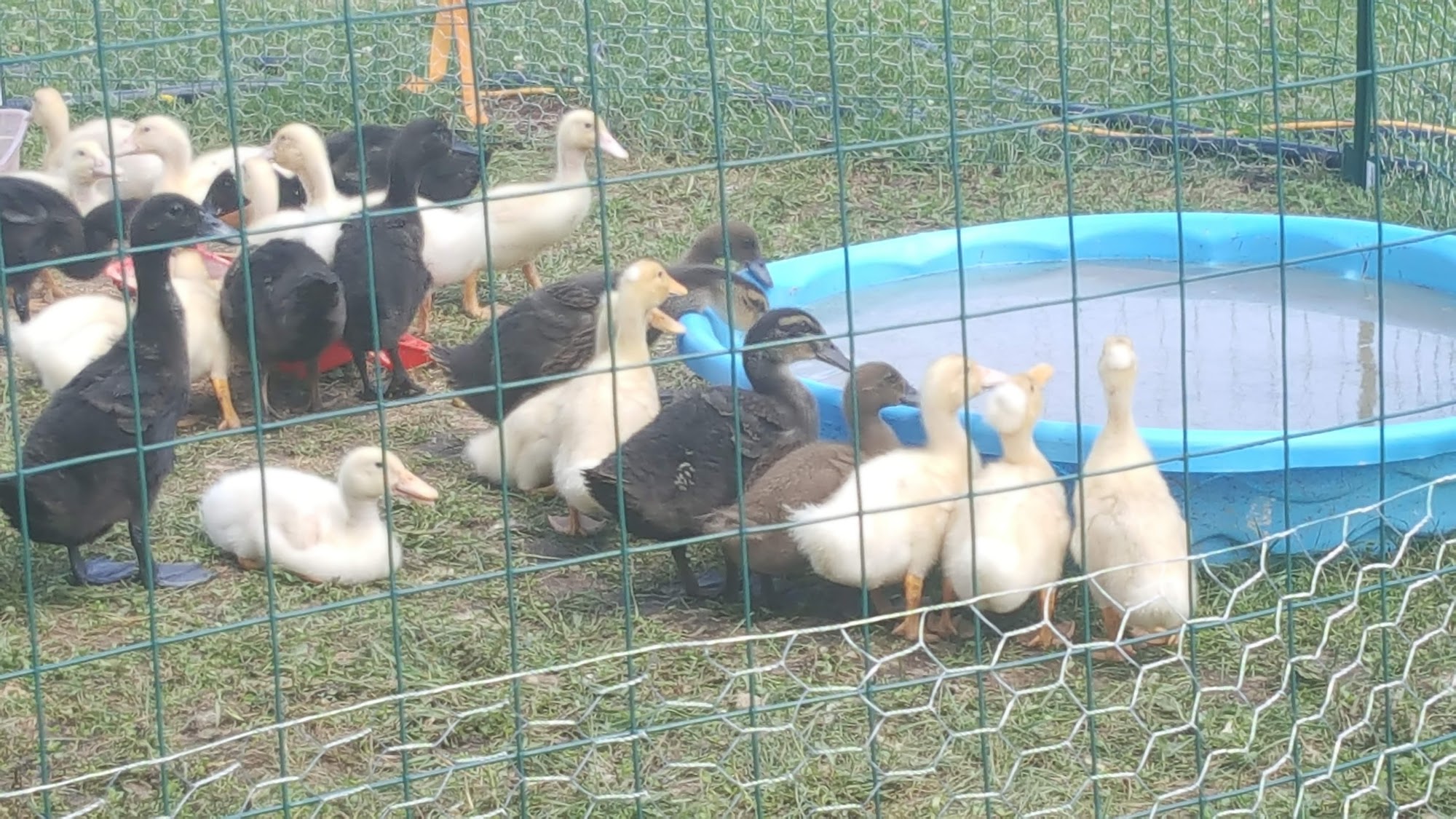 Barrington Holistic Healing Spa 5482 Ray Crosby Rd, Dundee New York 14837