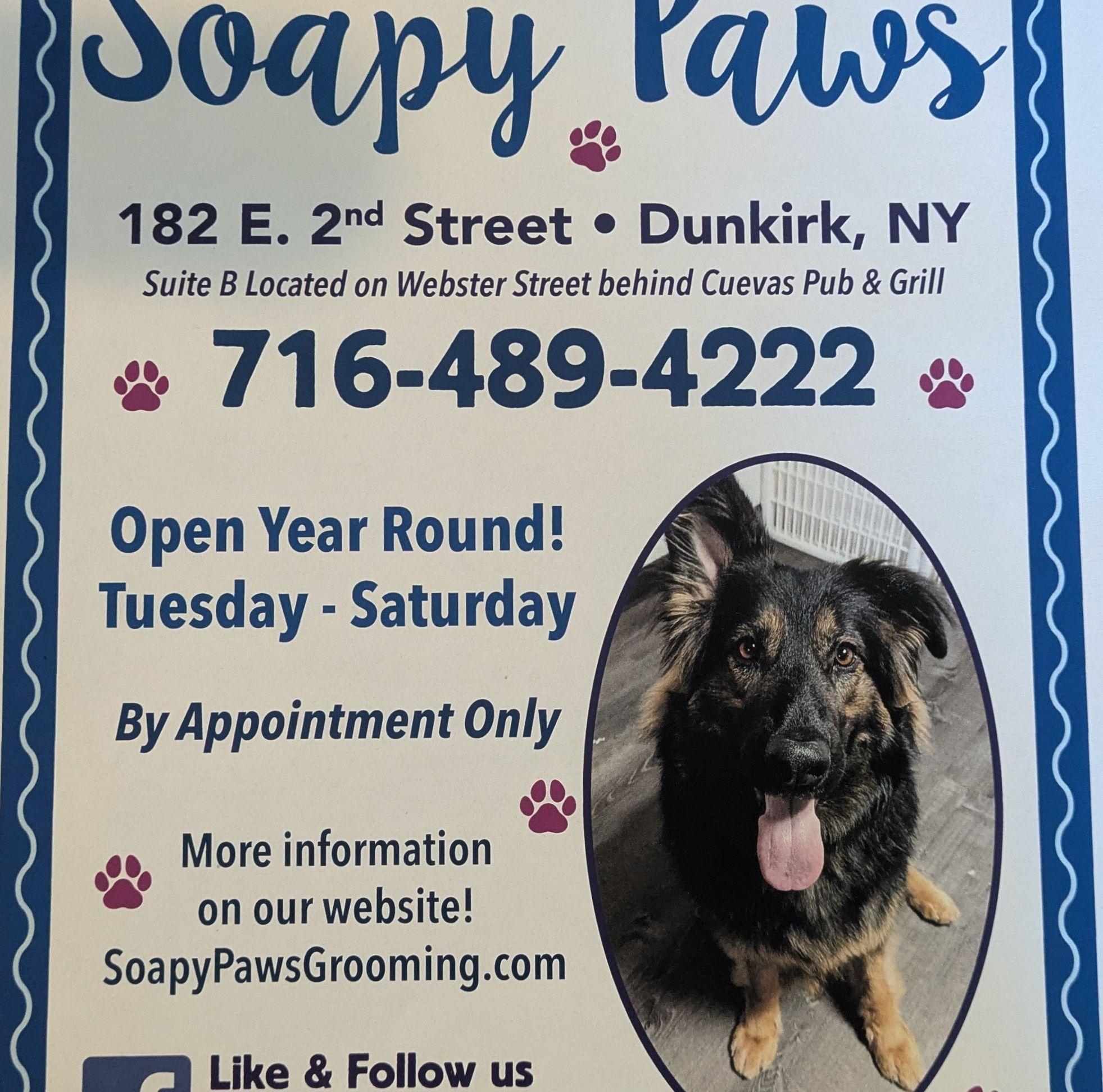 Soapy Paws LLC Dunkirk
