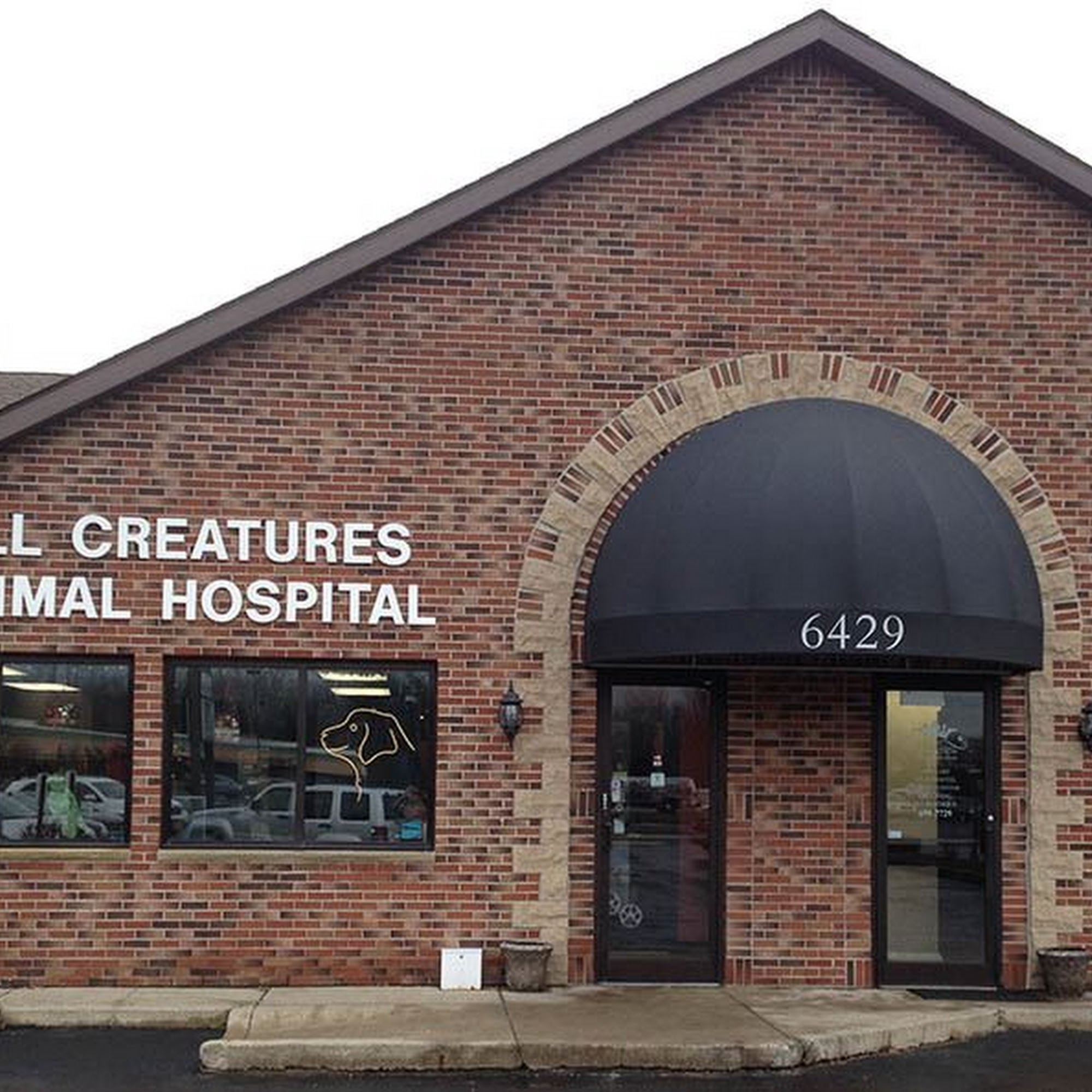 All Creatures Animal Hospital East Amherst