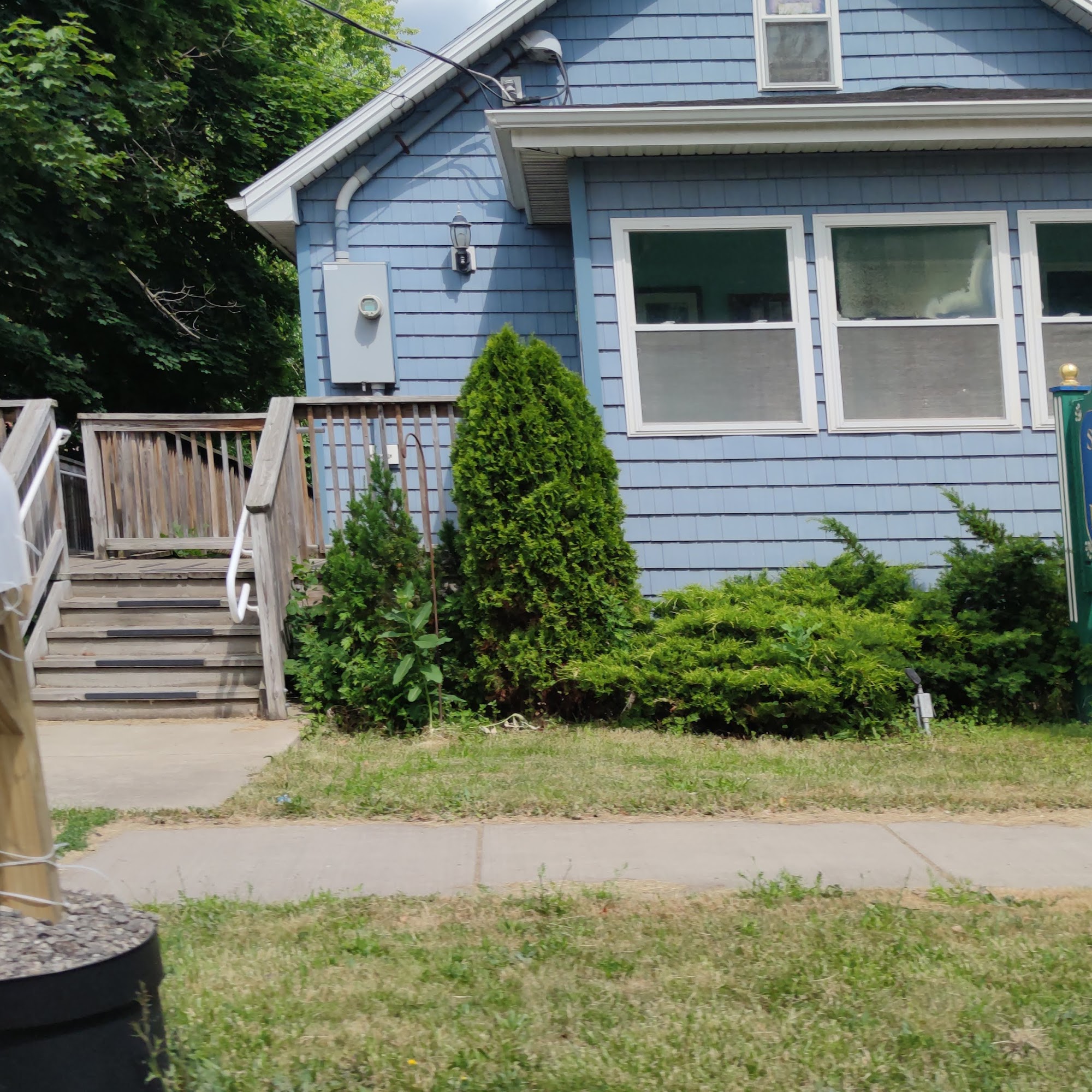 Spring Grove Animal Hospital East Amherst