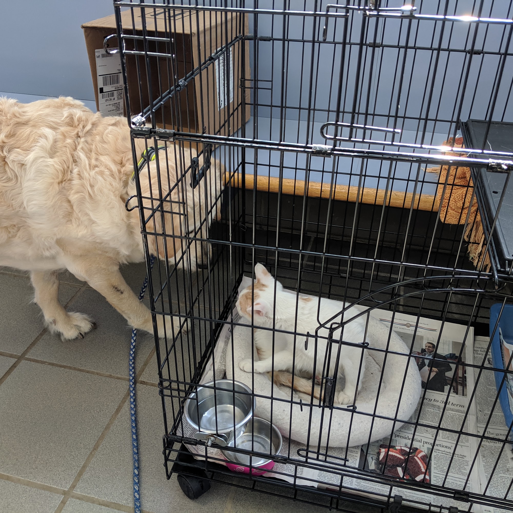 Transit Valley Animal Hospital East Amherst