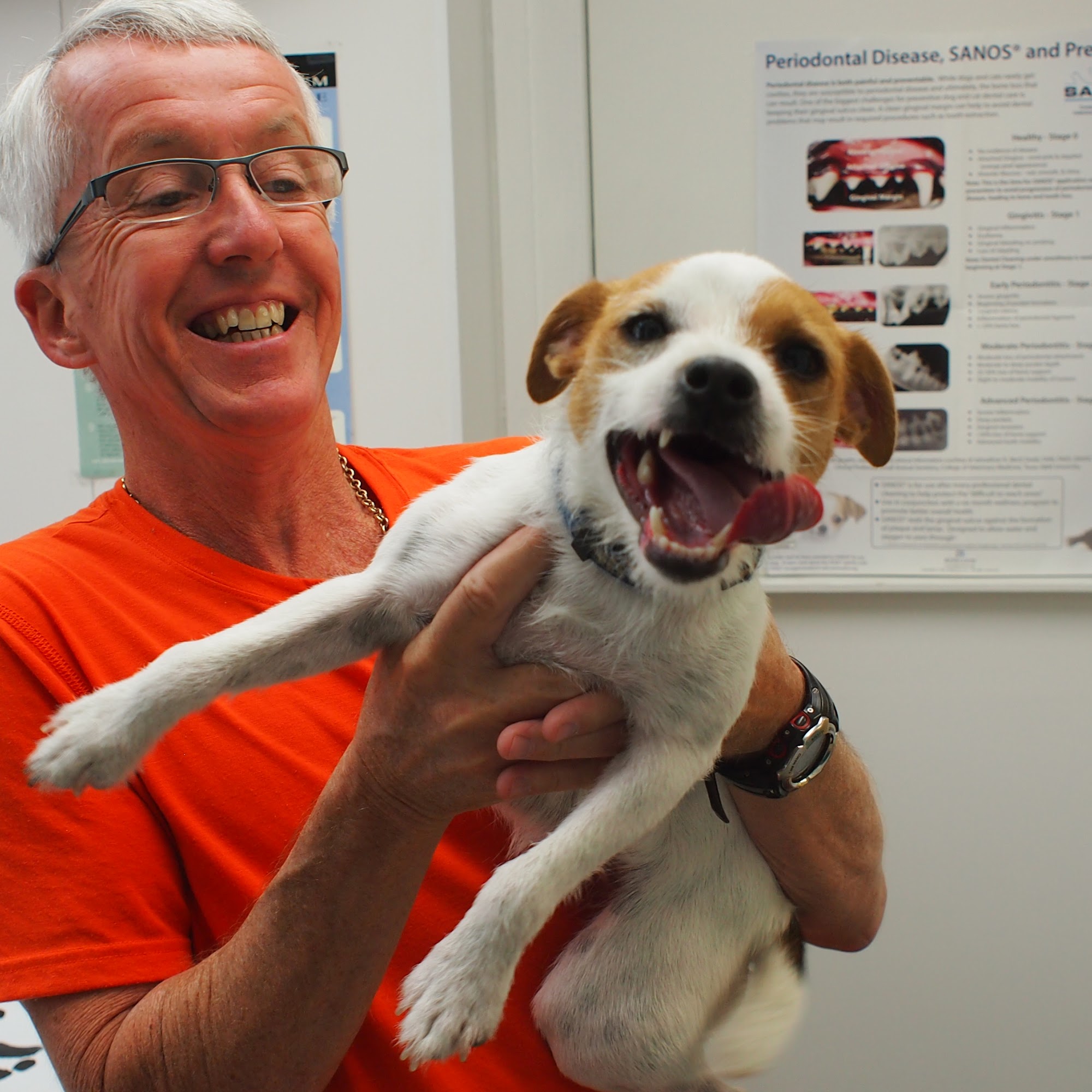 East Aurora Veterinary Hospital East Aurora