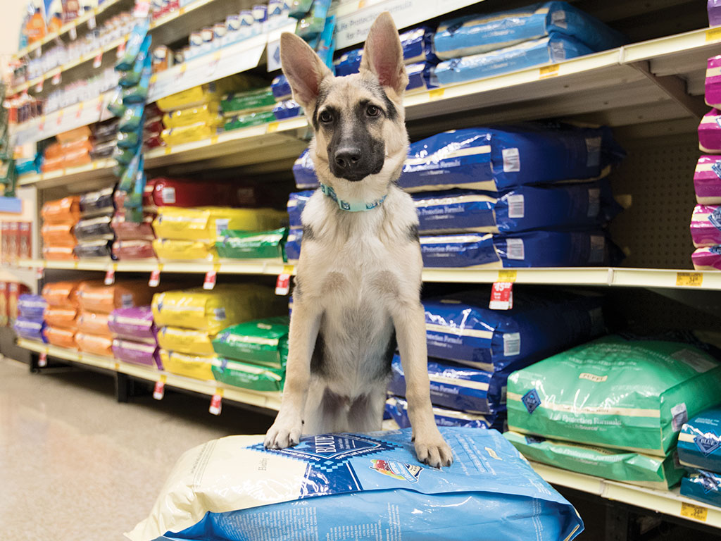 PetSmart East Aurora