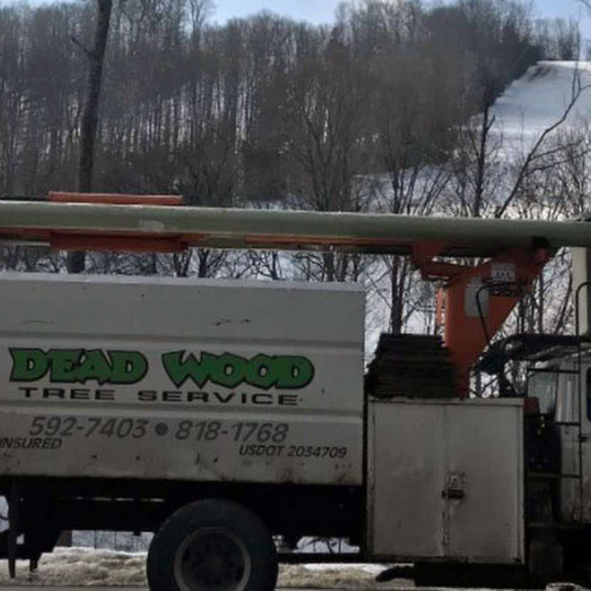 Deadwood Tree Service