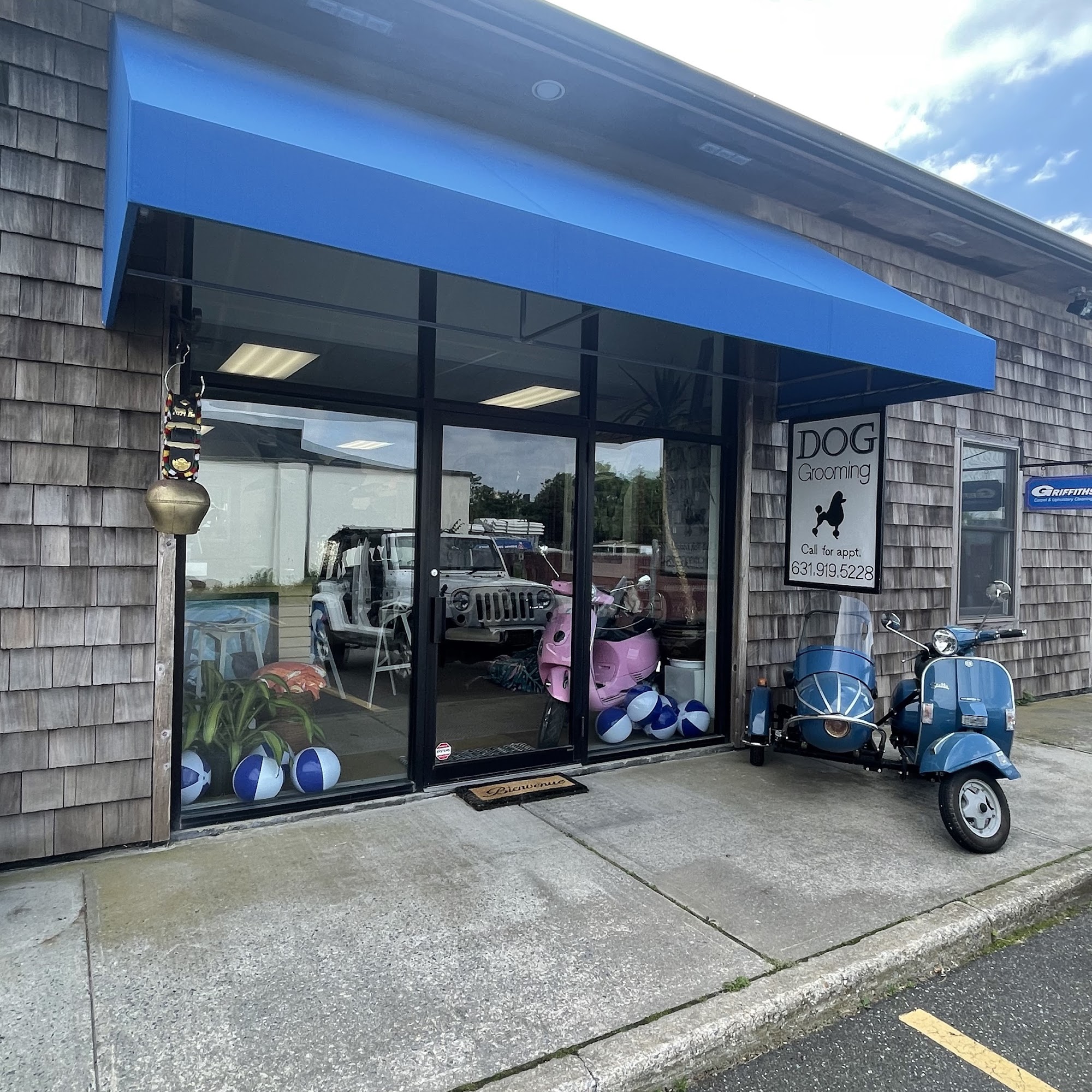 DOG BEACH HAMPTONS East Hampton