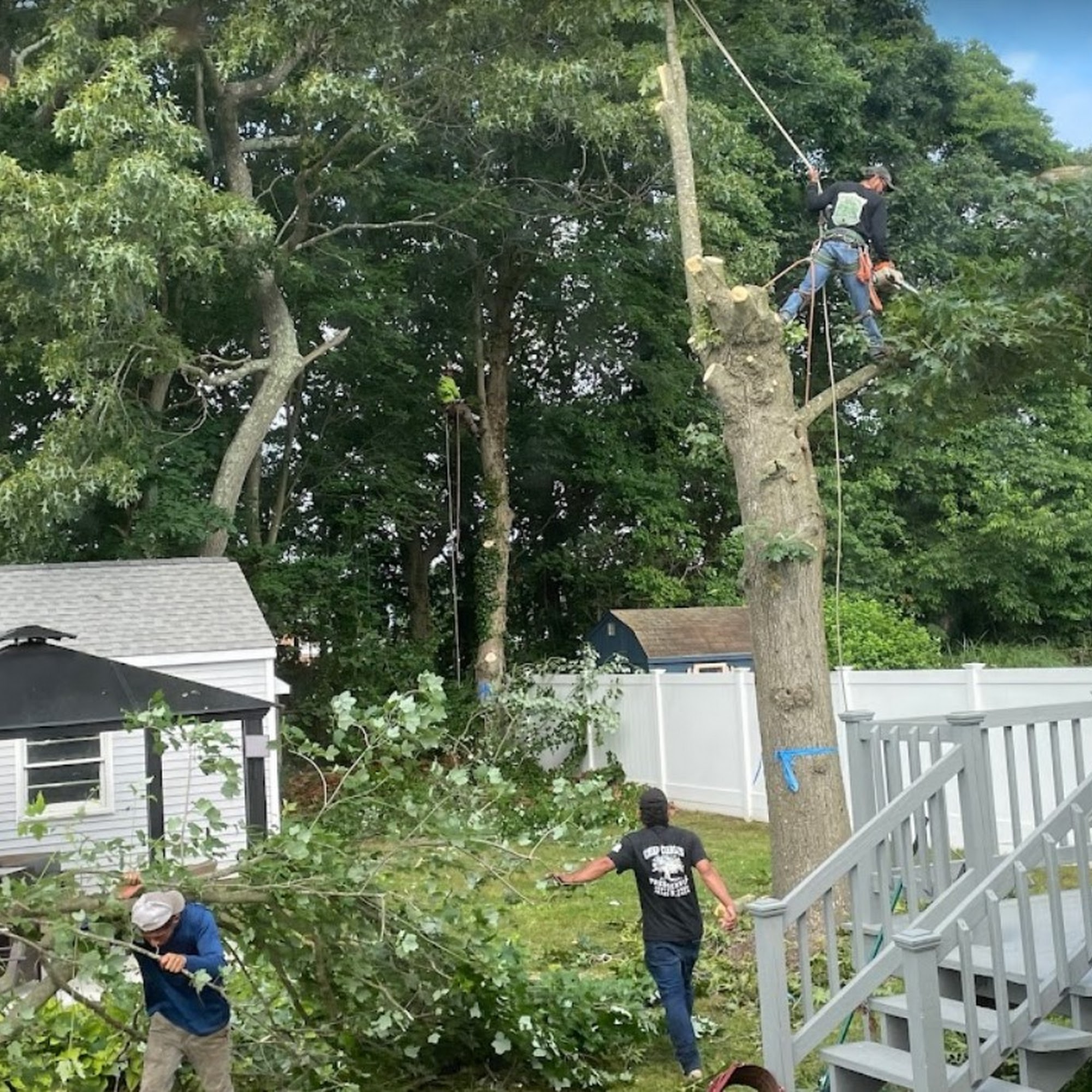 Cheap Charlie's Tree Service 112 Shinnecock Ln, East Islip New York 11730