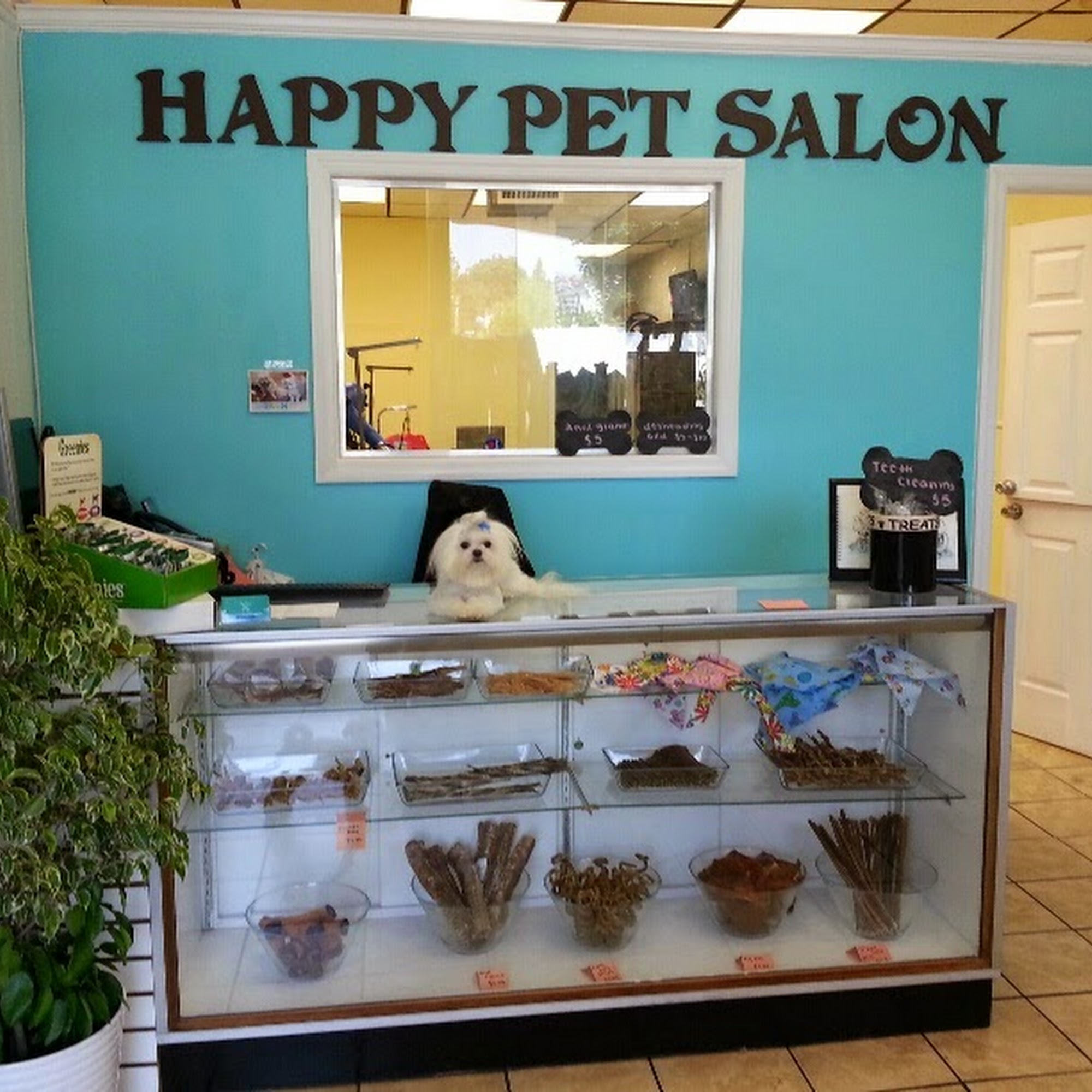Happy Pet Salon East Meadow