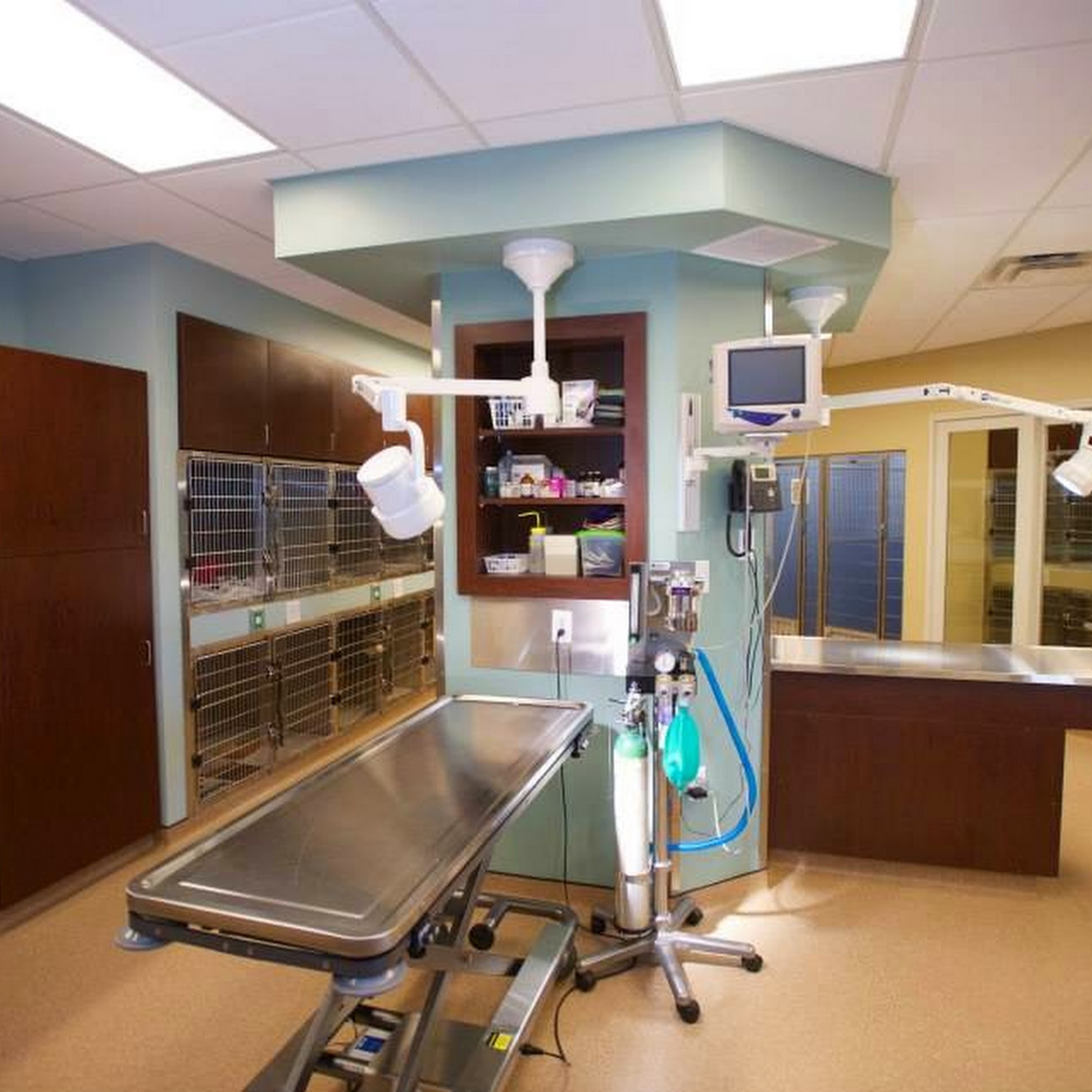 Eden Veterinary Clinic, PLLC Eden