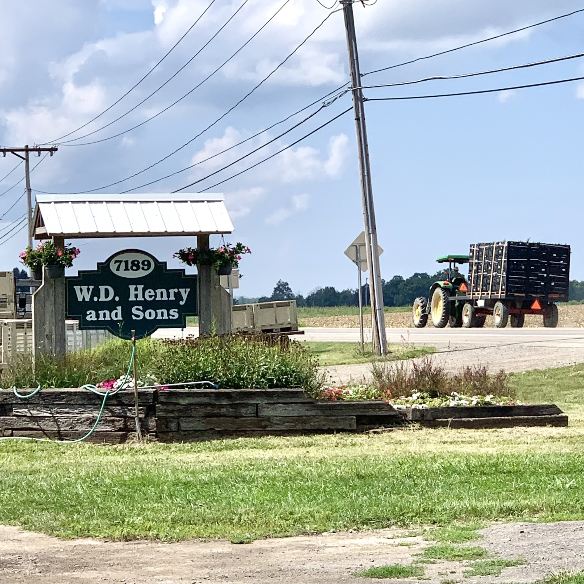 W D Henry & Son Inc Eden