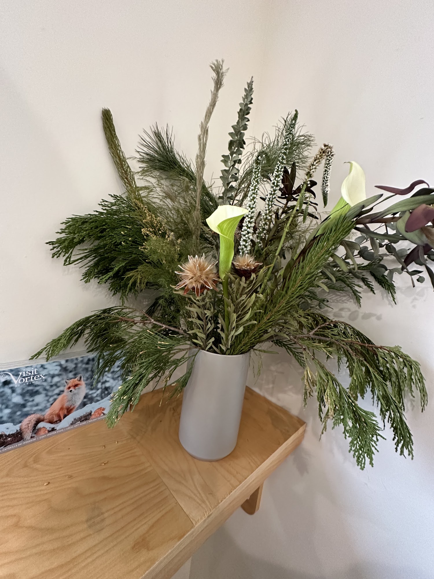 Morning Sunshine Ellenville