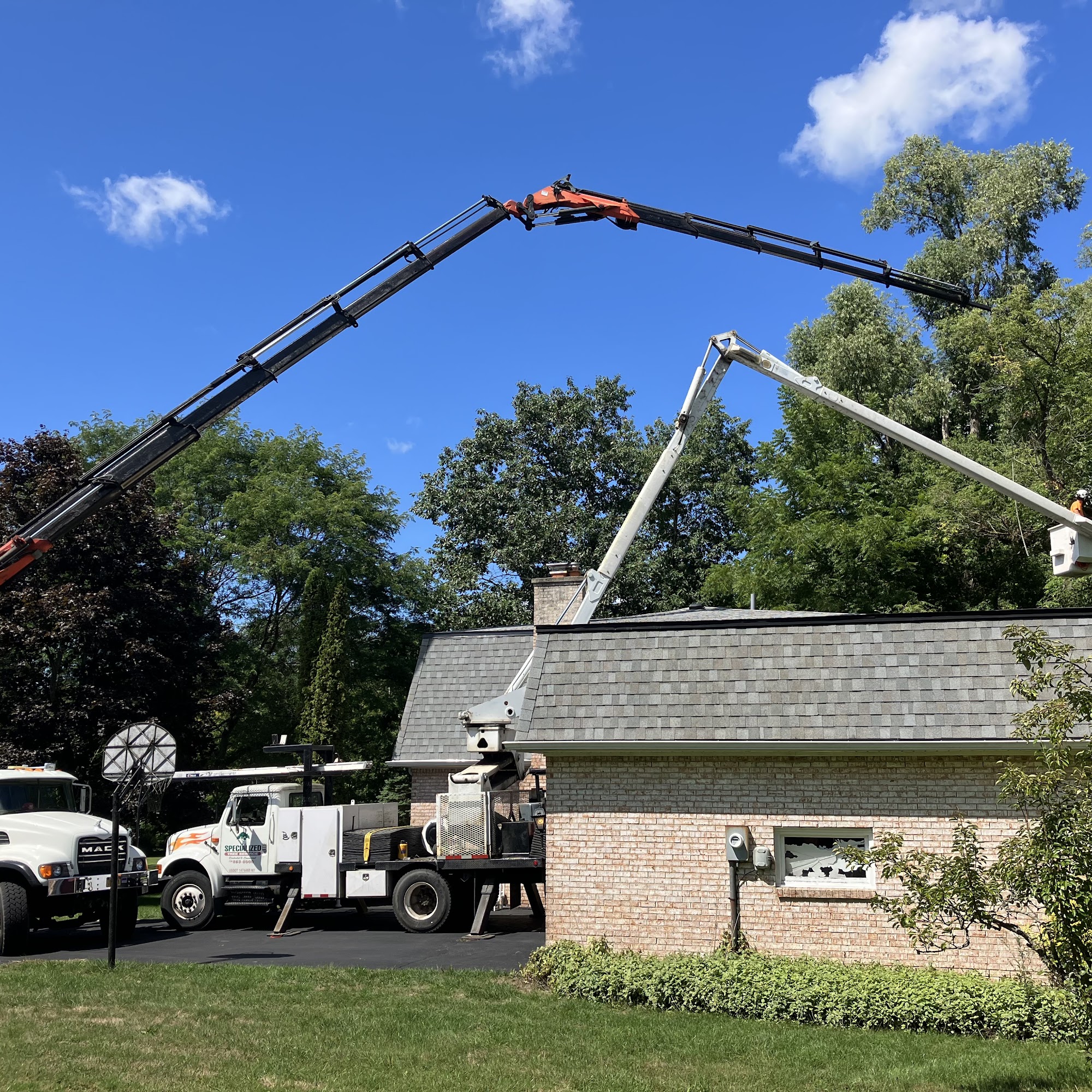 Specialized Tree Services