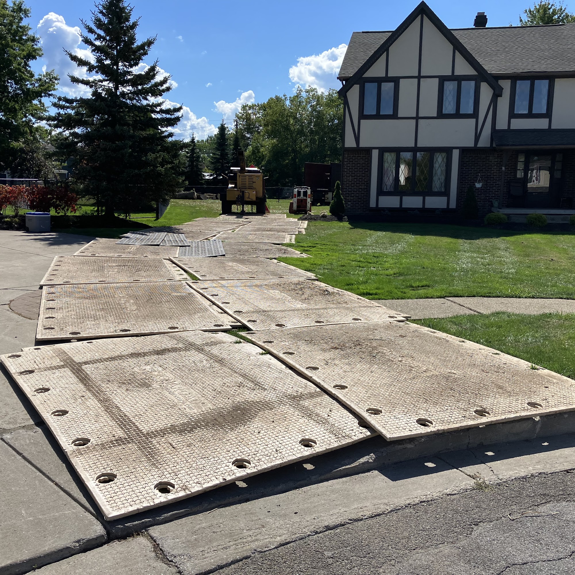 Specialized Tree Services