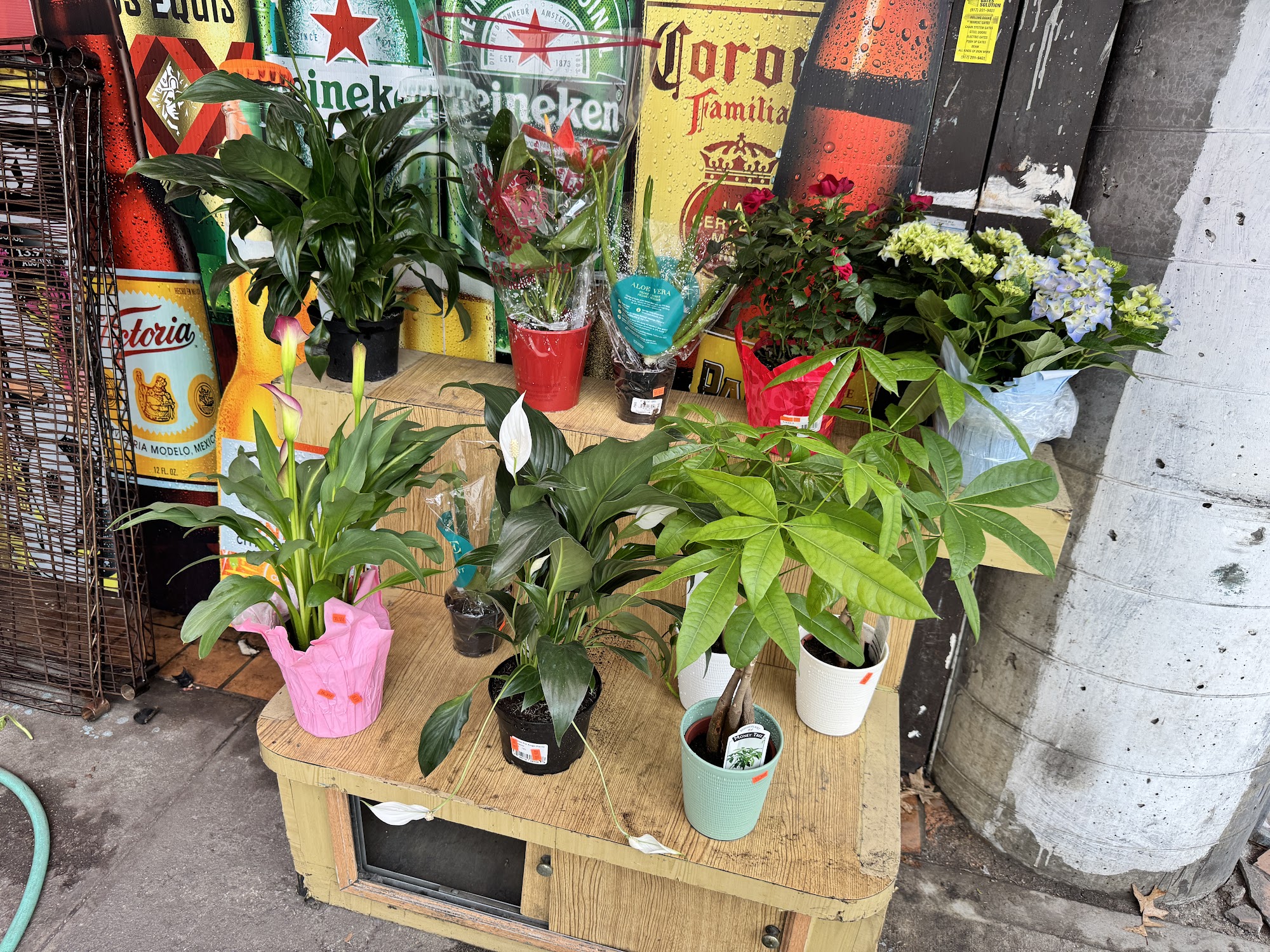 81 corner Deli & Grocery