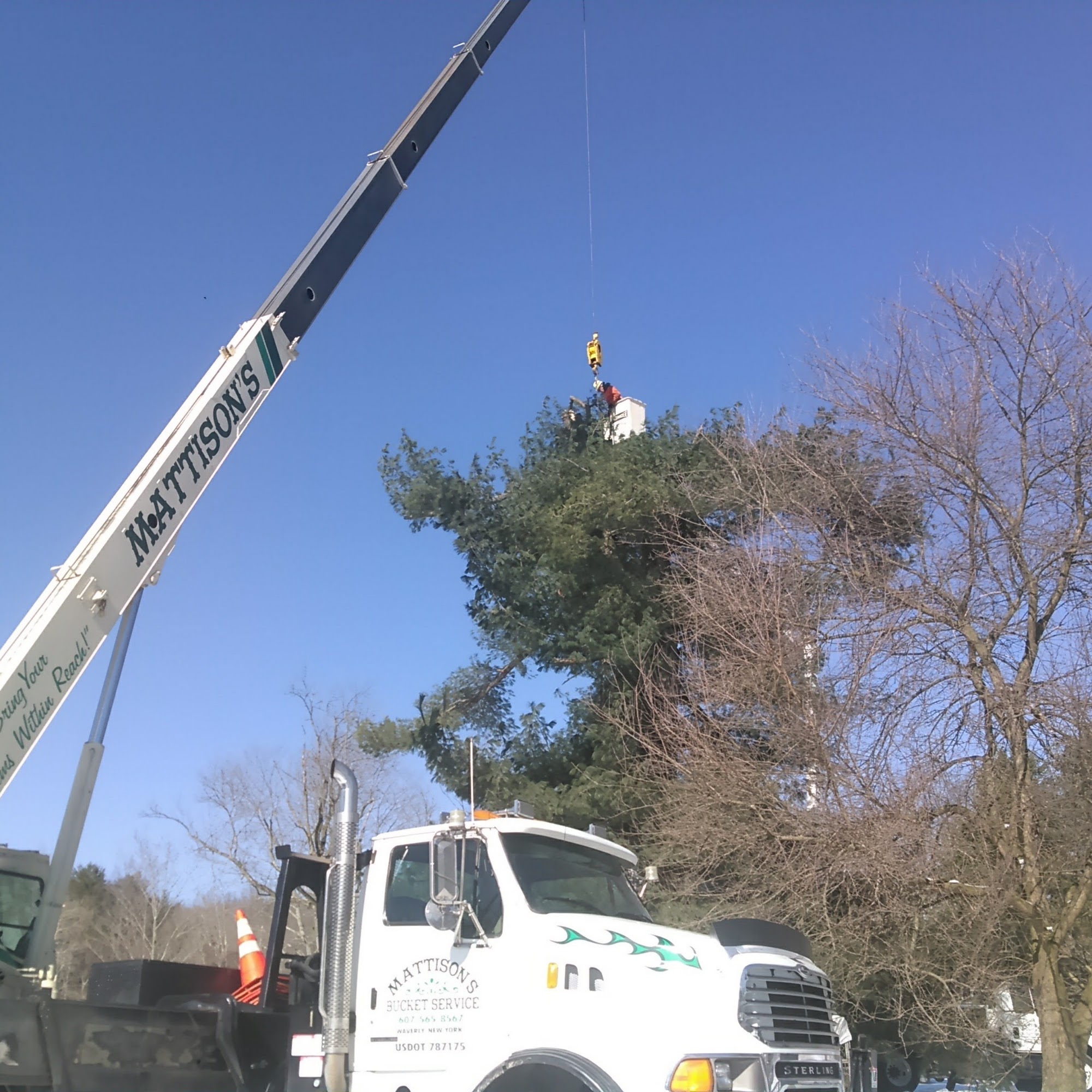 Renko Tree Service