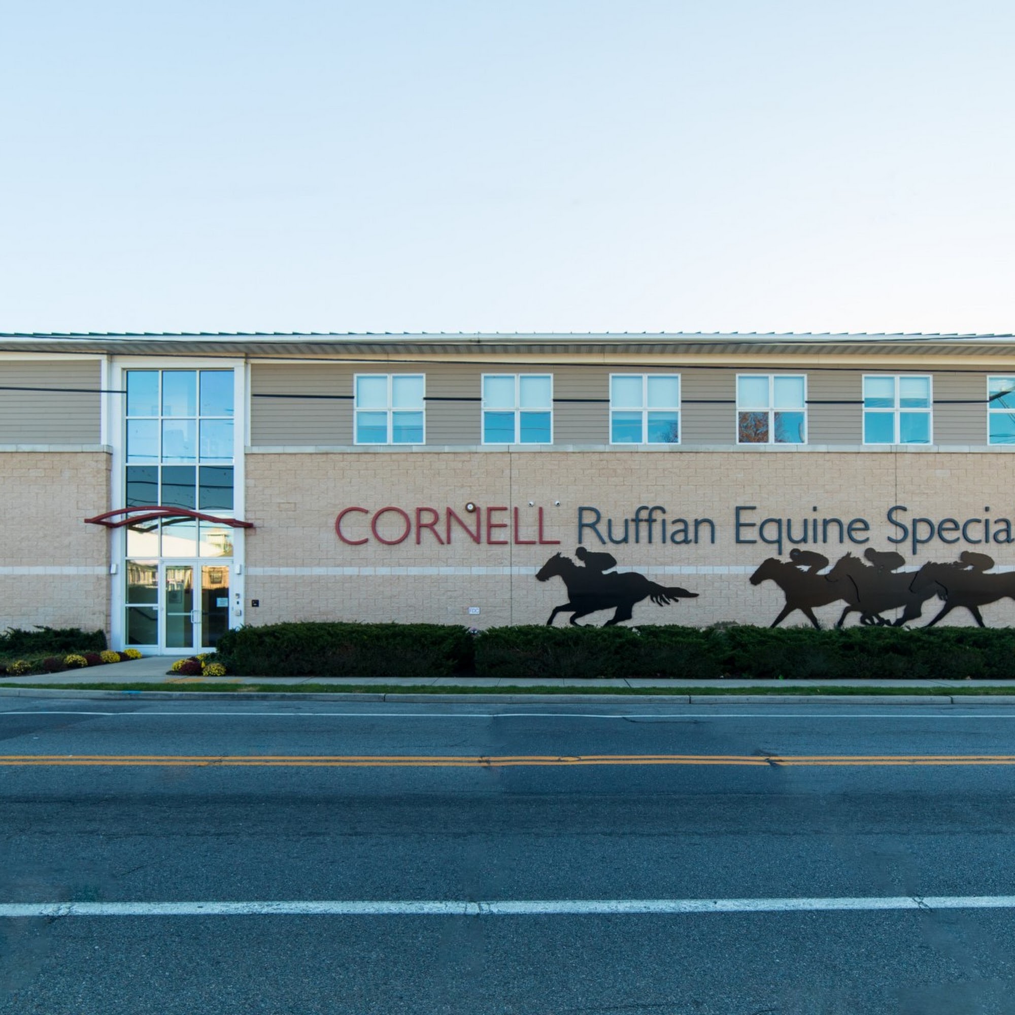 Cornell Ruffian Equine Specialists Elmont