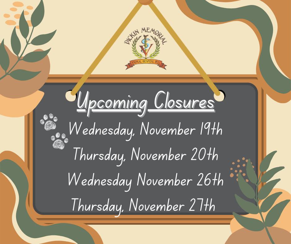 Dicken Memorial Animal Hospital - Alison Beaulieu DVM Endicott