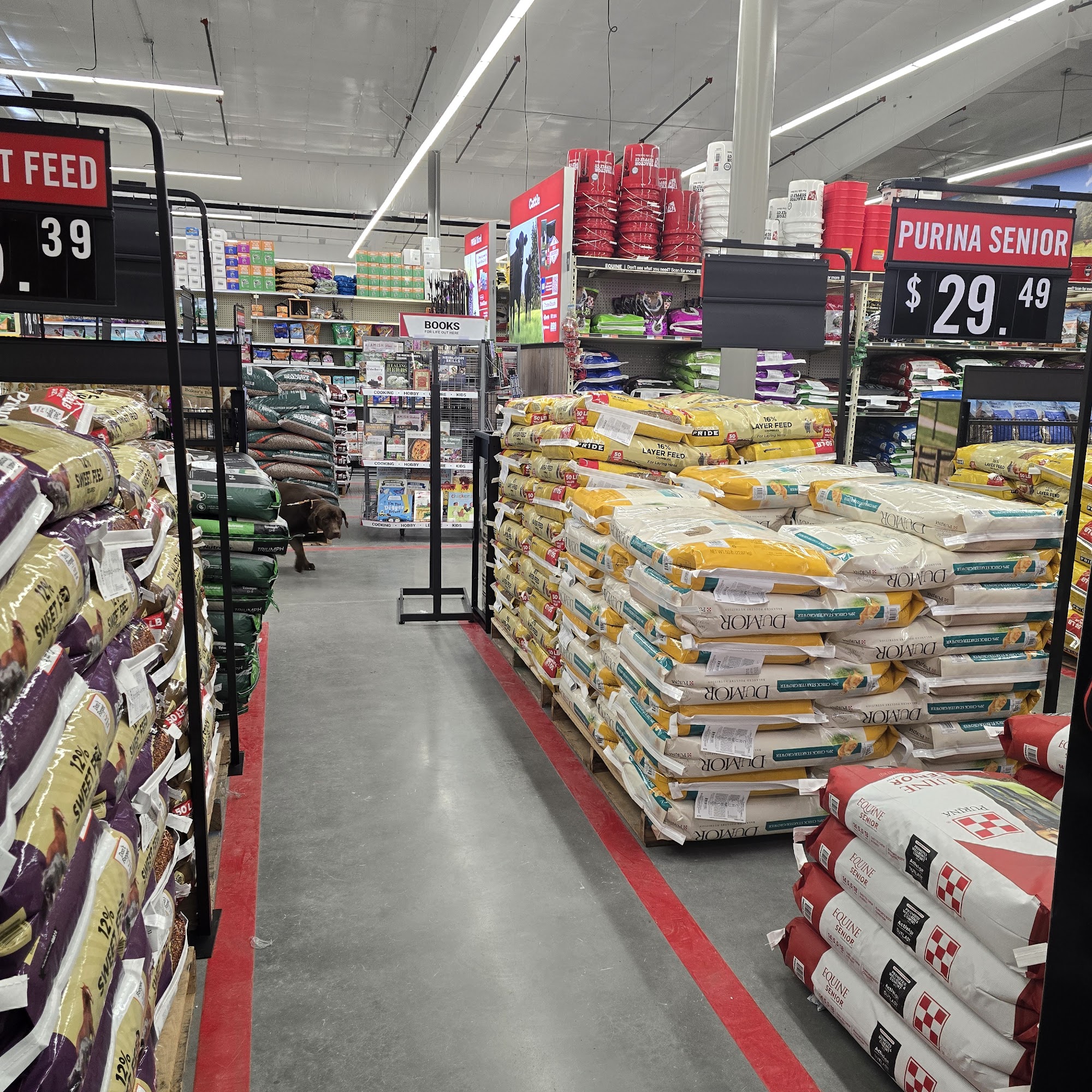 Tractor Supply Co. Evans Mills