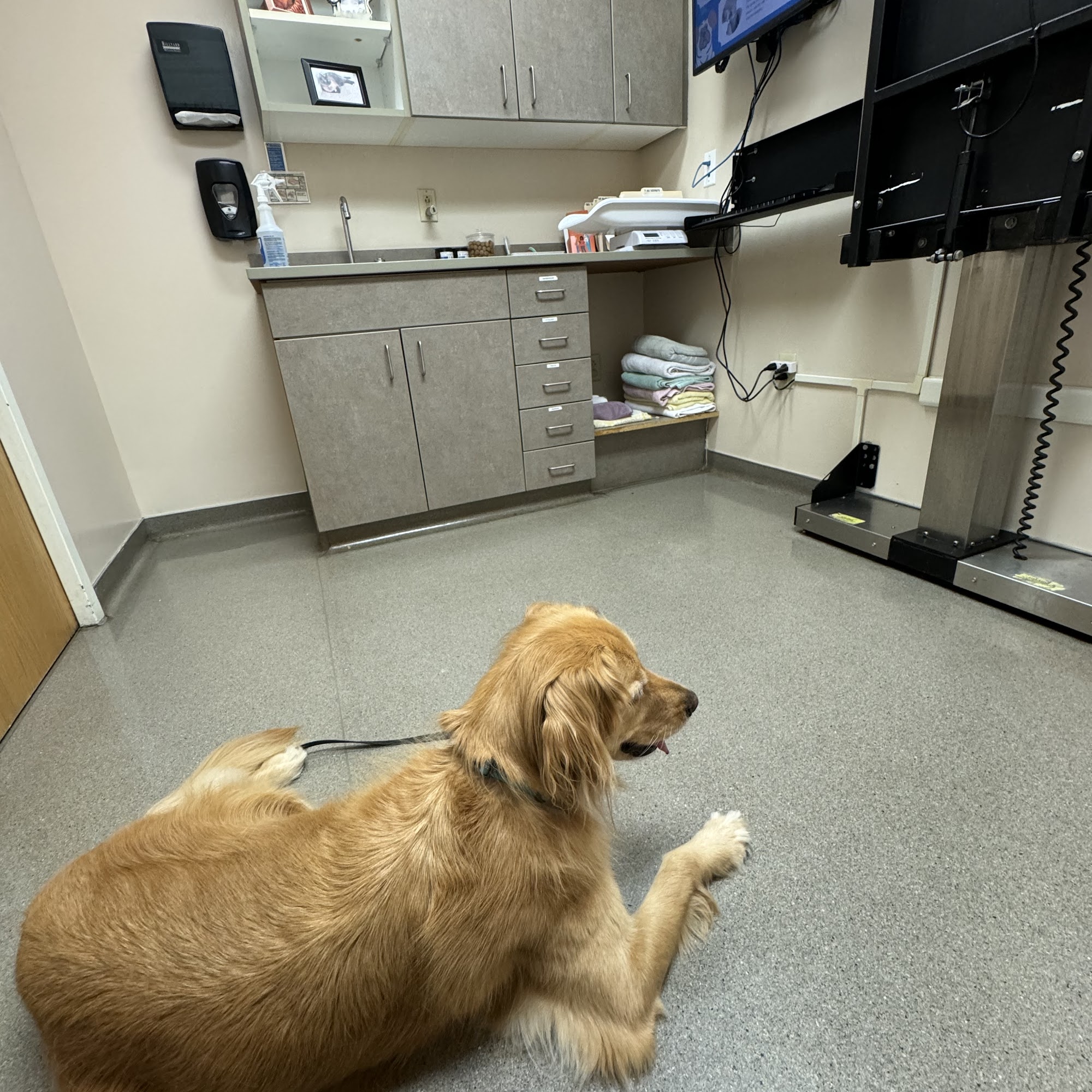 Fairview Veterinary Hospital Fairport