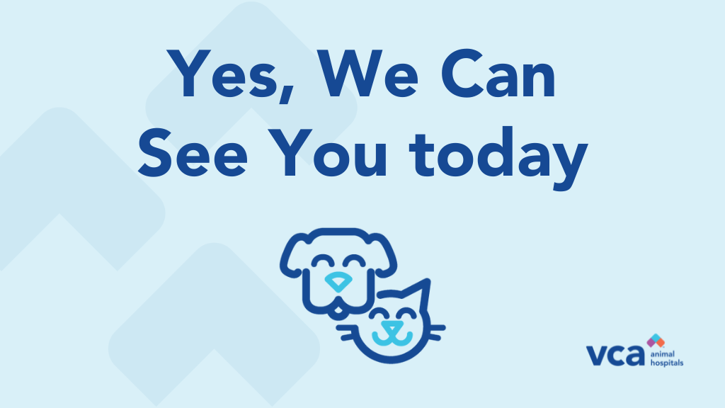 Nassau-Suffolk Animal Hospital Farmingdale