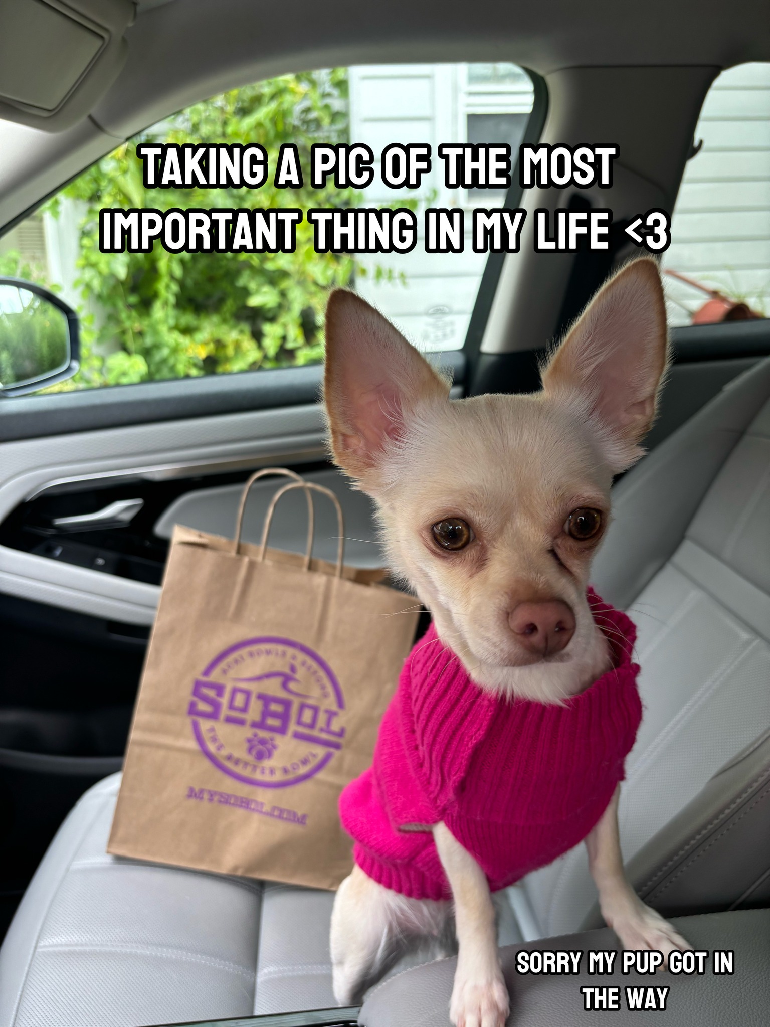 SoBol Farmingdale Farmingdale